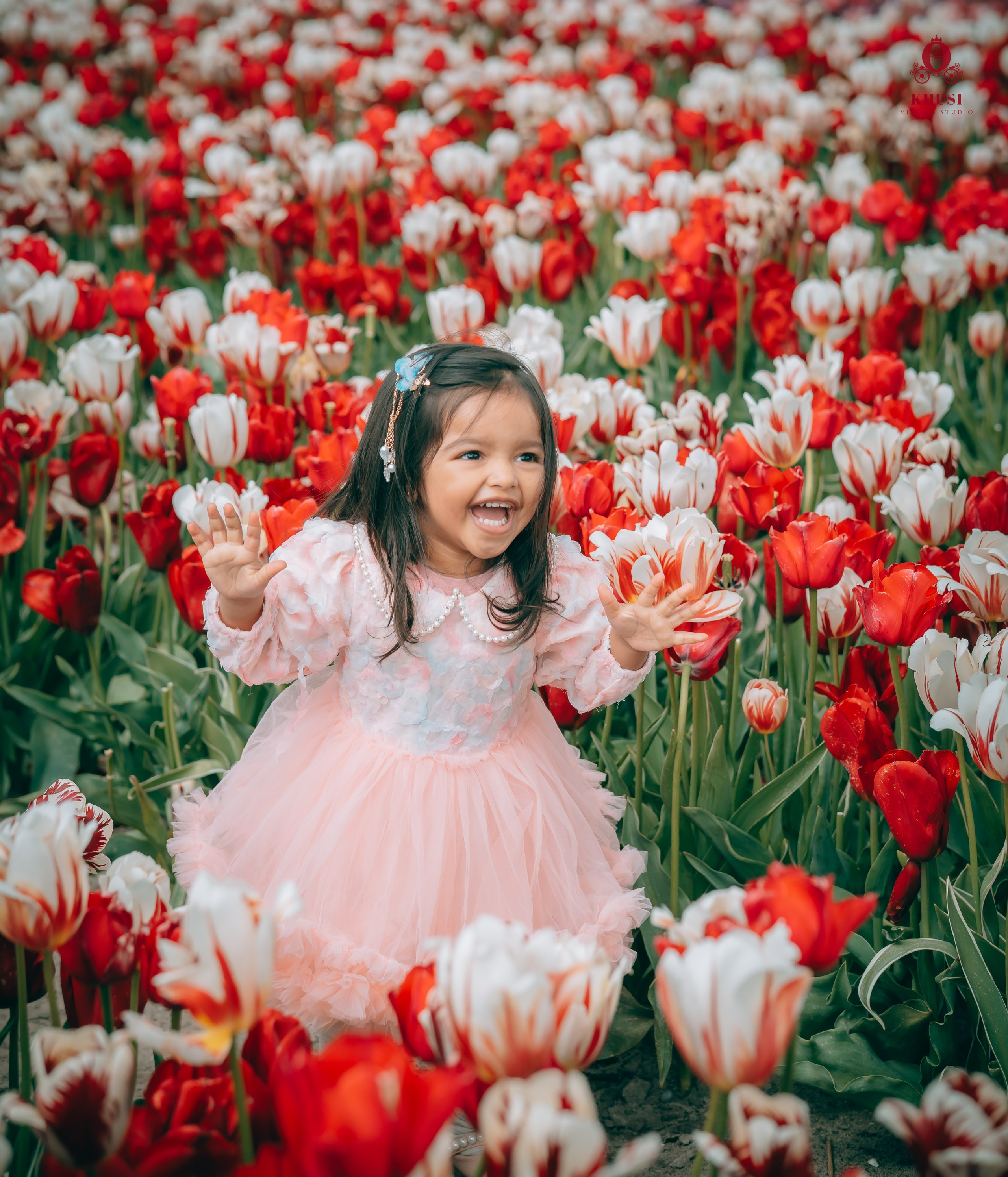 A girl kid enjoying in a red white tulip flower field in netherlands