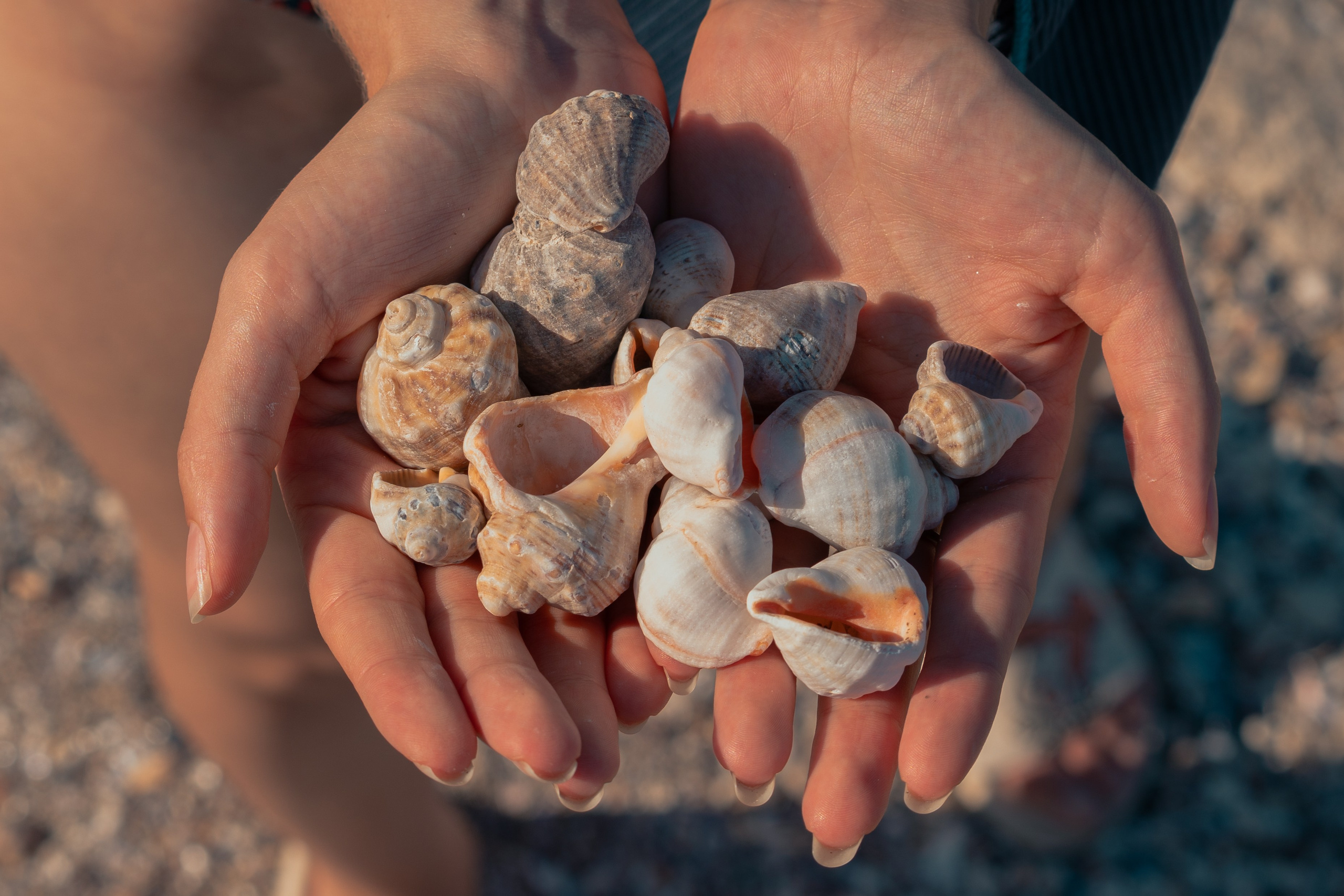 Fotograf nuntă București - ședință foto After wedding - Mădălina și Maximilian