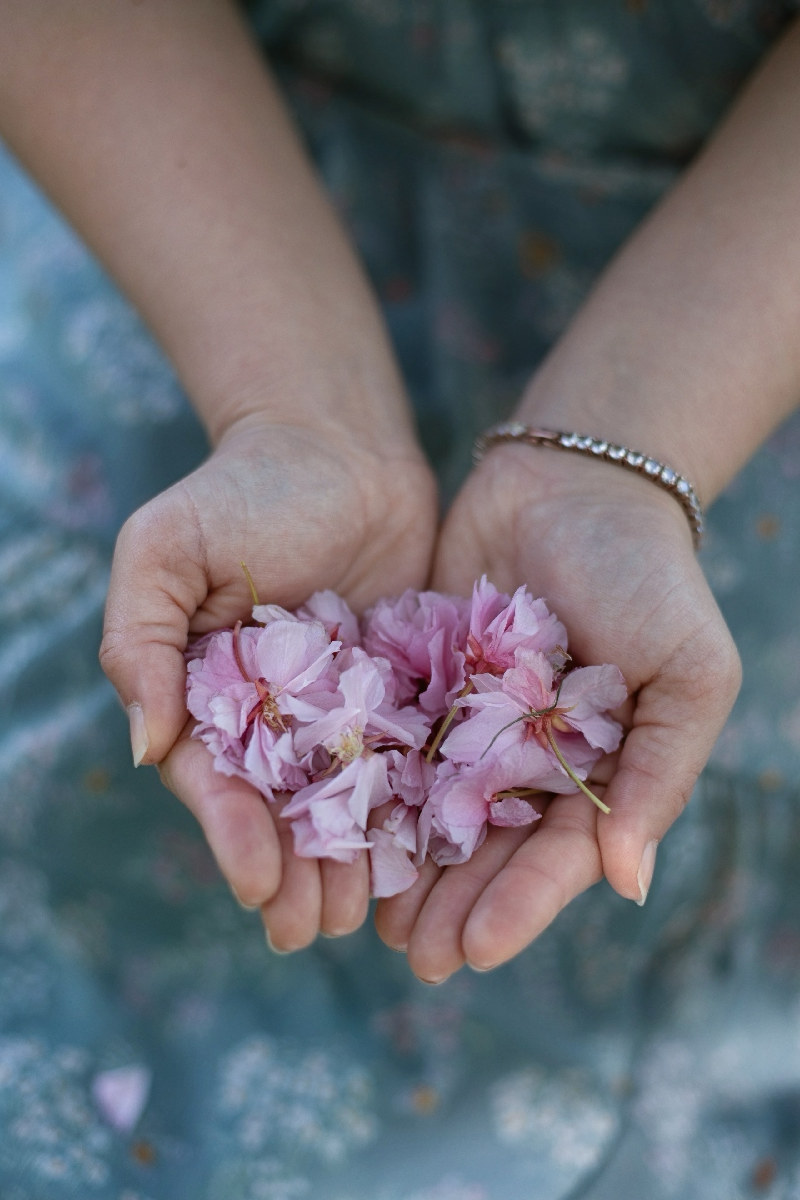 Park. Фотограф в Нью Йорке