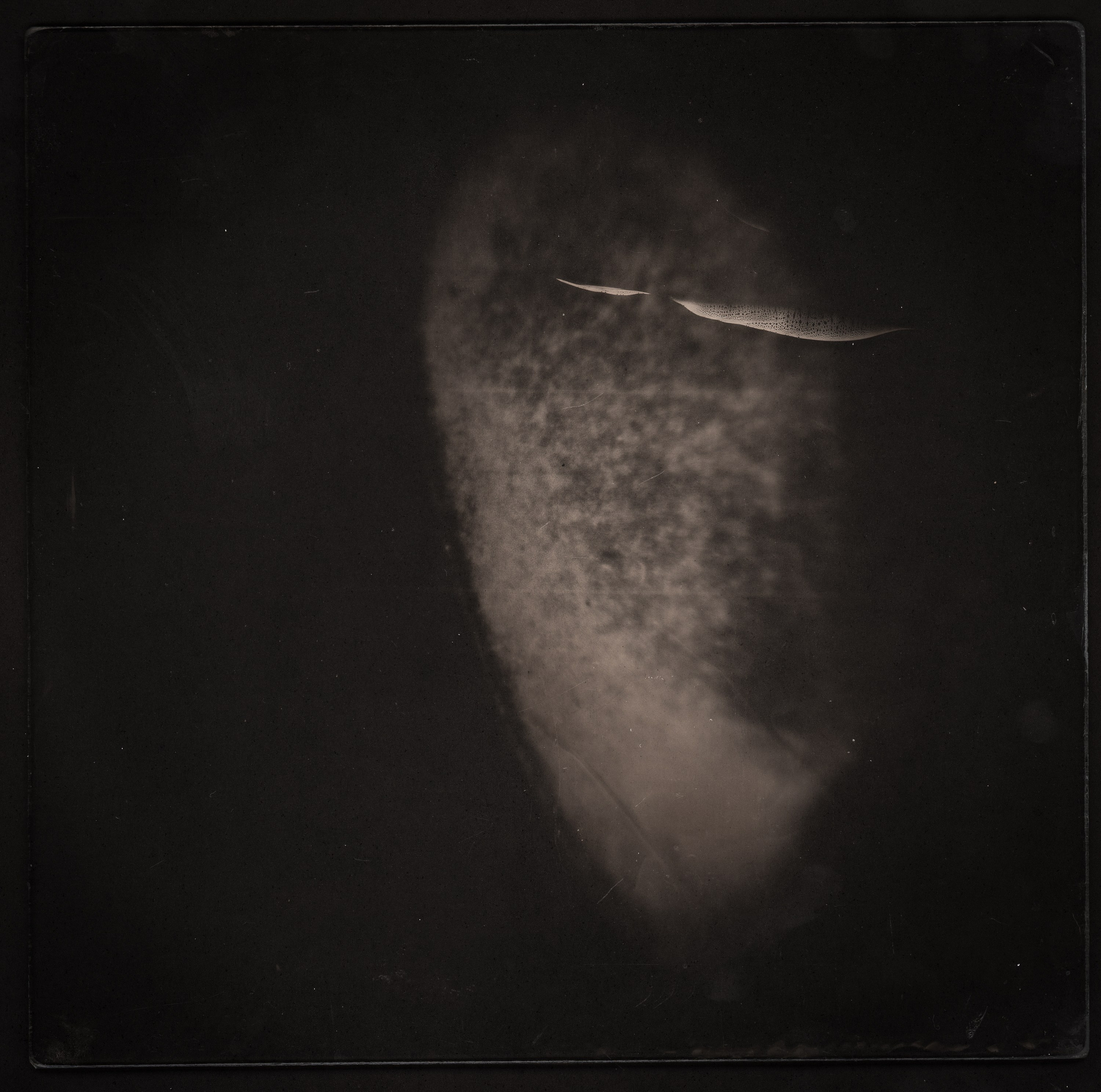 APPARITIONE. Adriano Escanhuela — Experimental