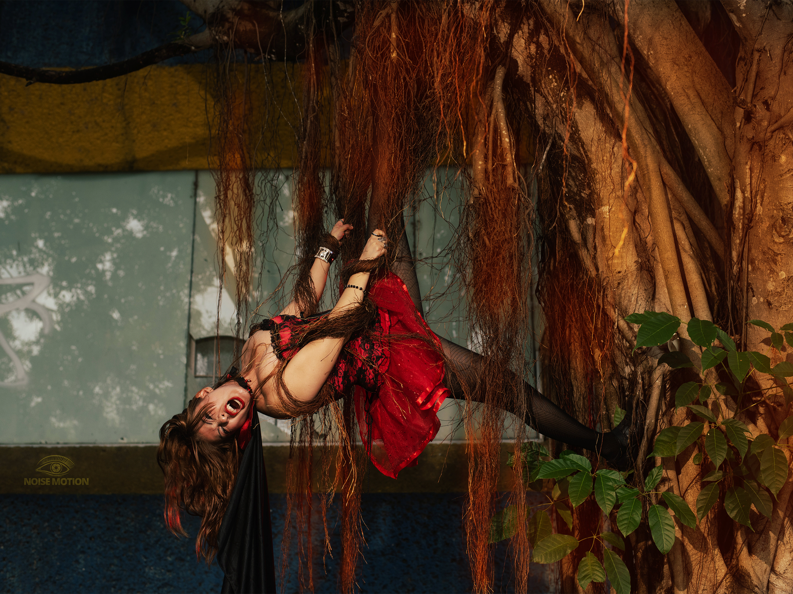 Contacto. Fotografía Profesional - Noise Motion