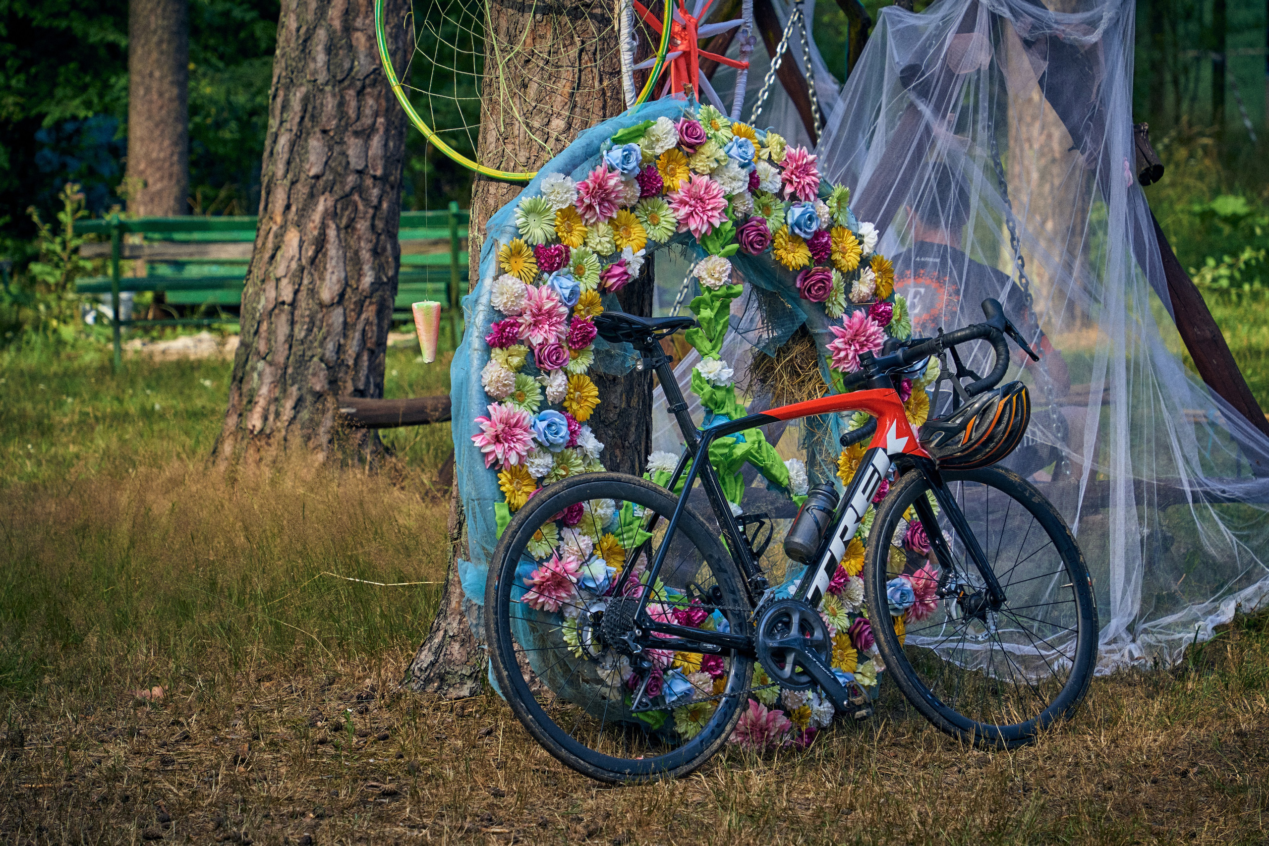 Organic Festival 2024. Андрей Шипилов — Фотография & Видеография