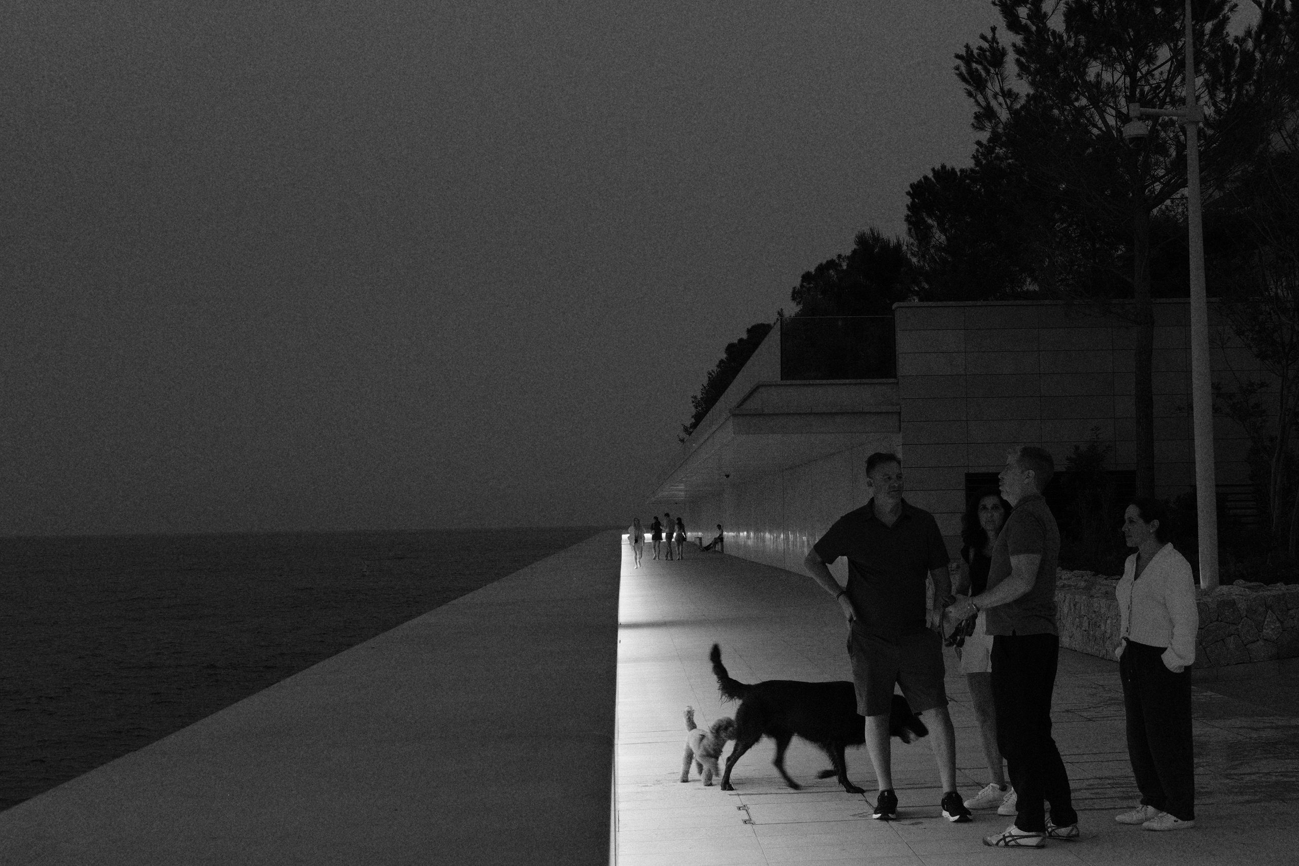 Street photography. Yulia — portrait, tourist & love story photographer in Paris