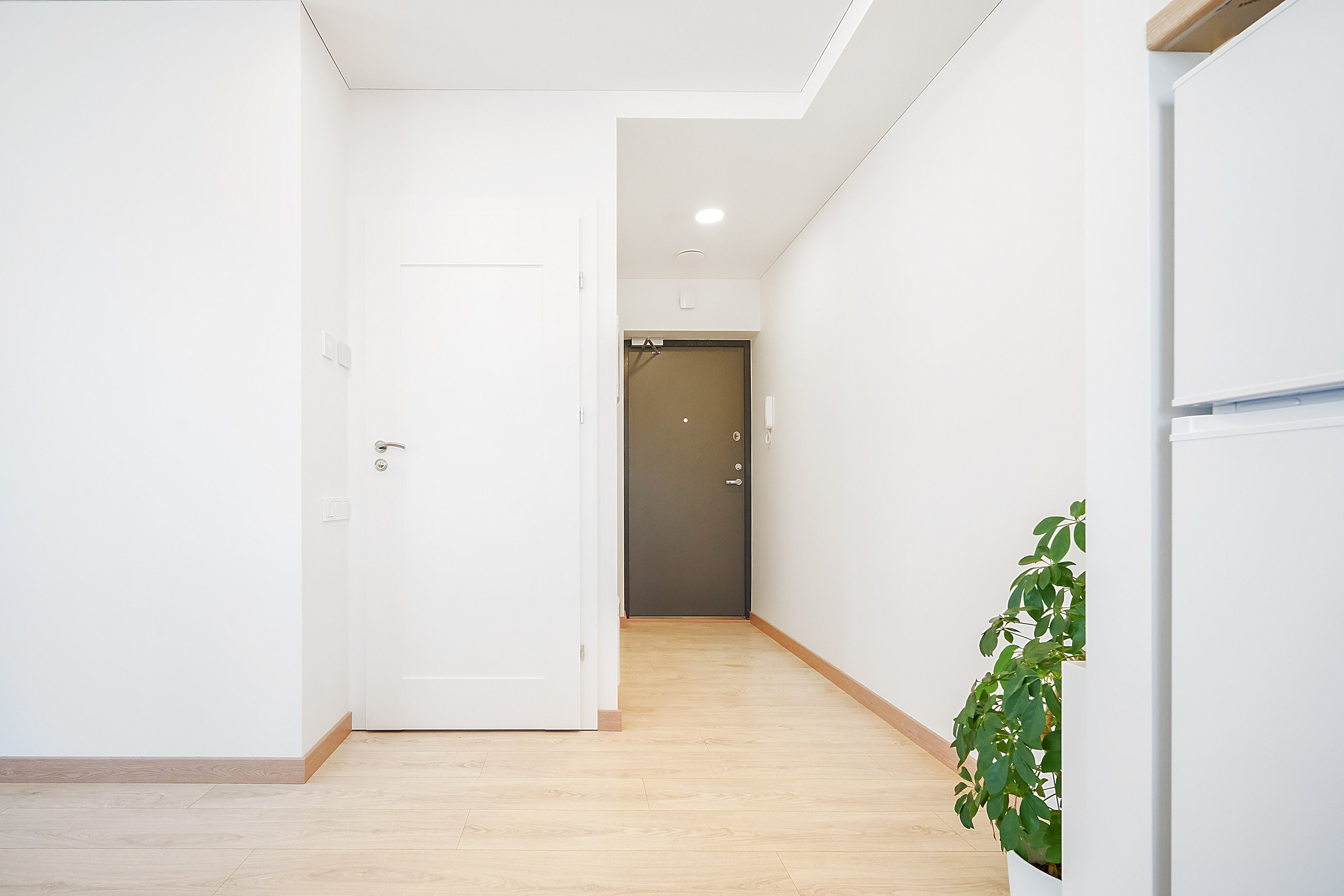 Helsinkio. Elina Sapiega fotografė Vilniuje