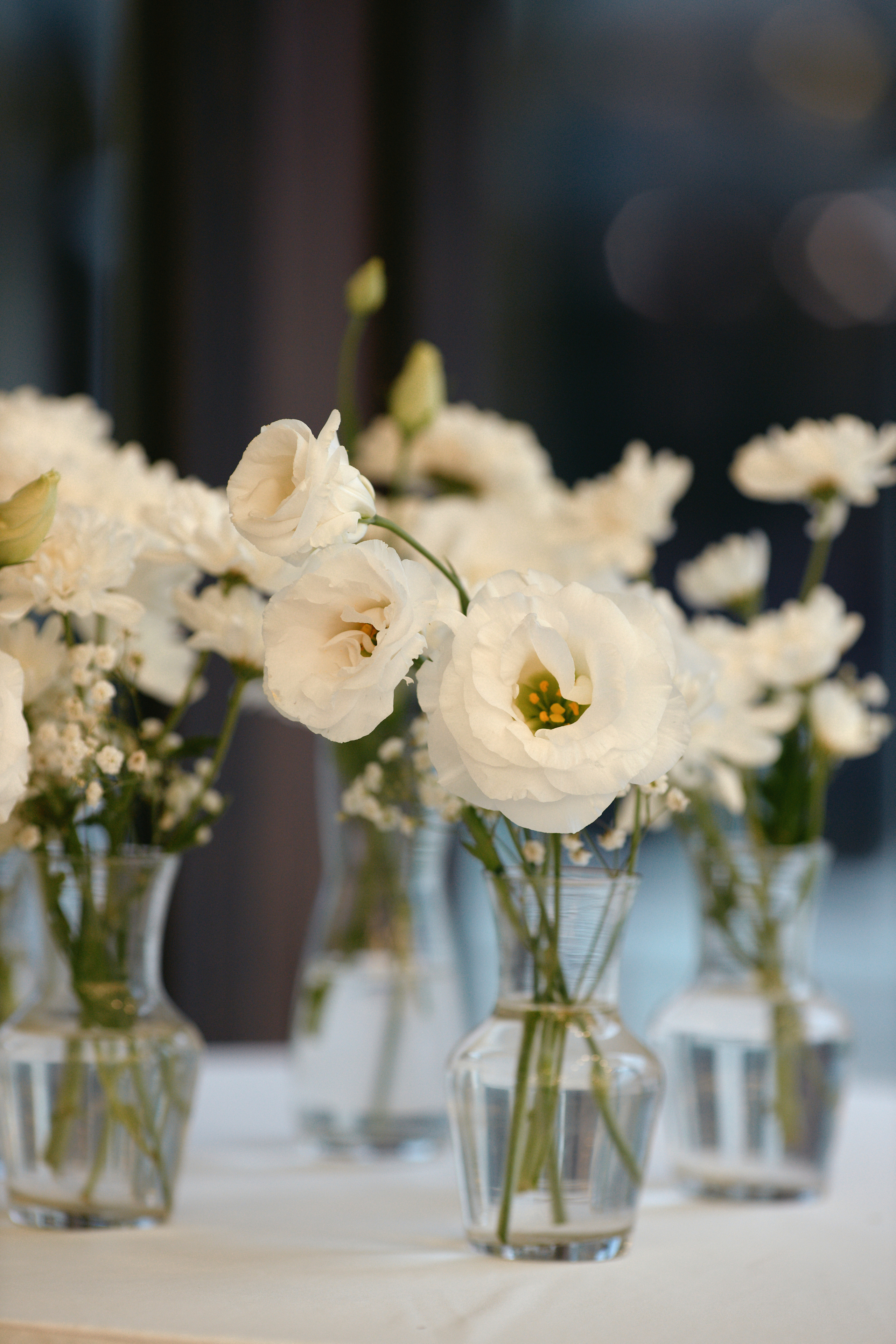 Дмитрий и Виктория. Recstudiofilm — Фото видео услуги на свадьбу в Молдове