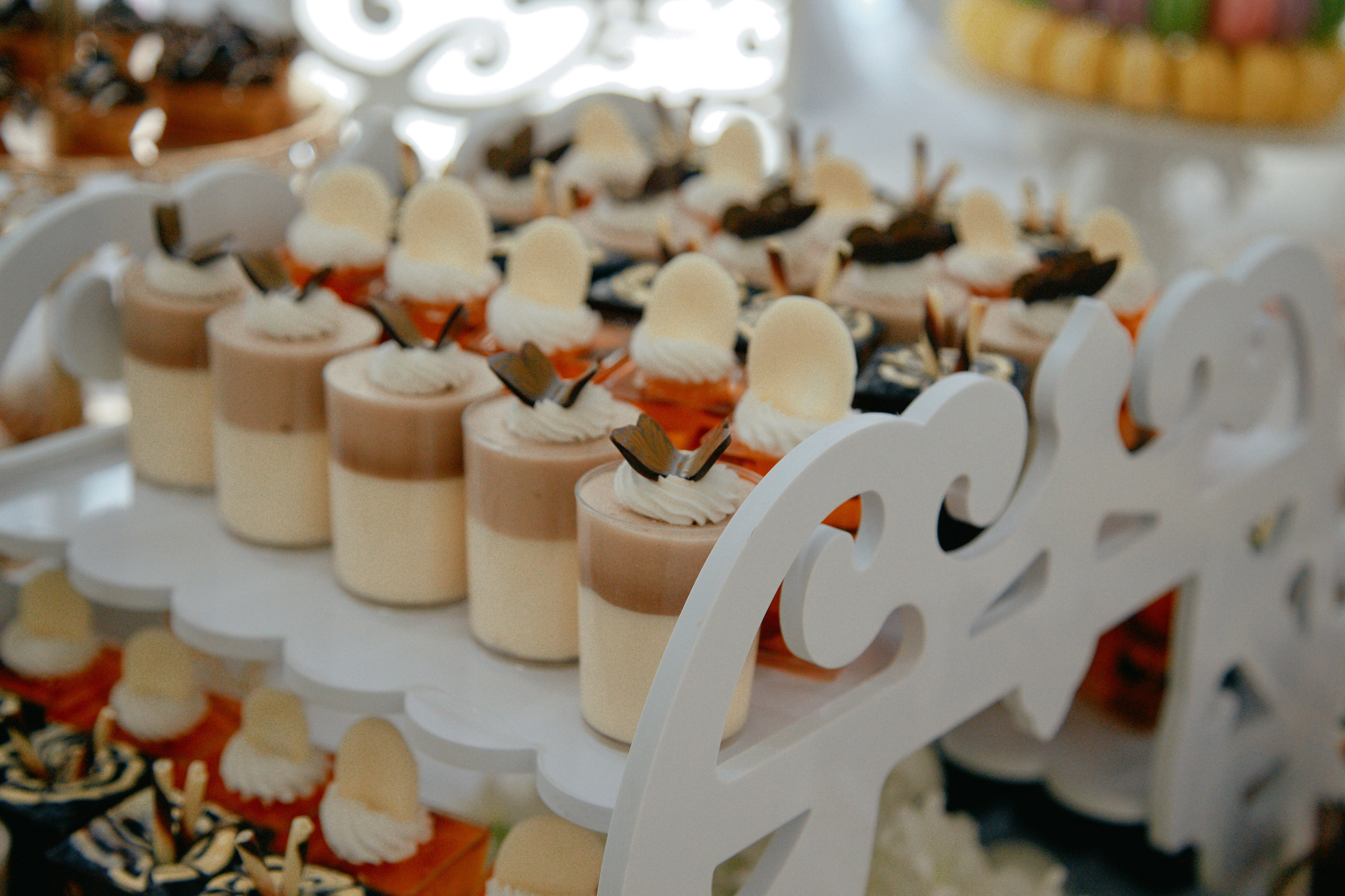 Михаил и Мария - Свадьба. Recstudiofilm — Фото видео услуги на свадьбу в Молдове