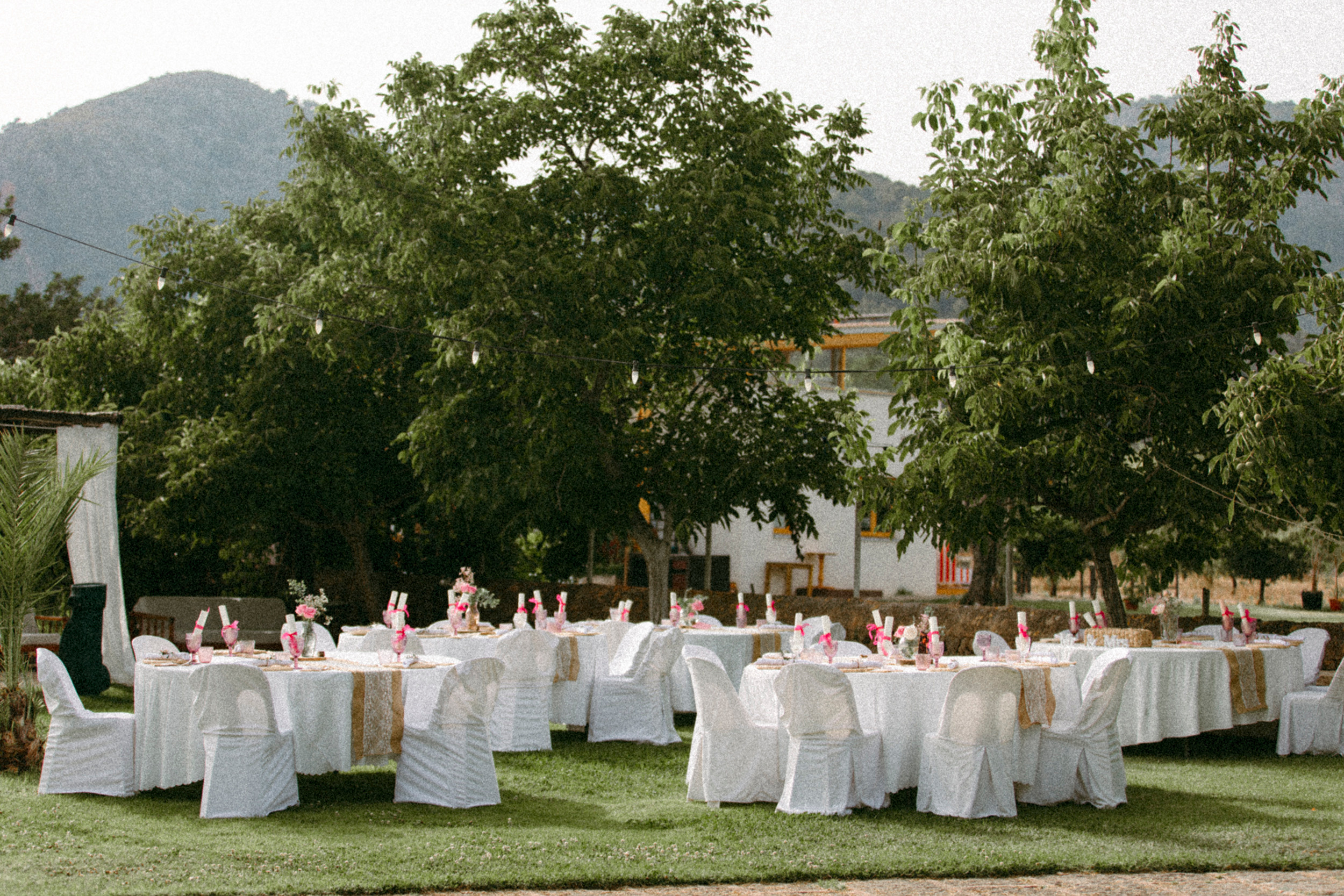 Cesar & Margo. Recstudiofilm — Фото видео услуги на свадьбу в Молдове