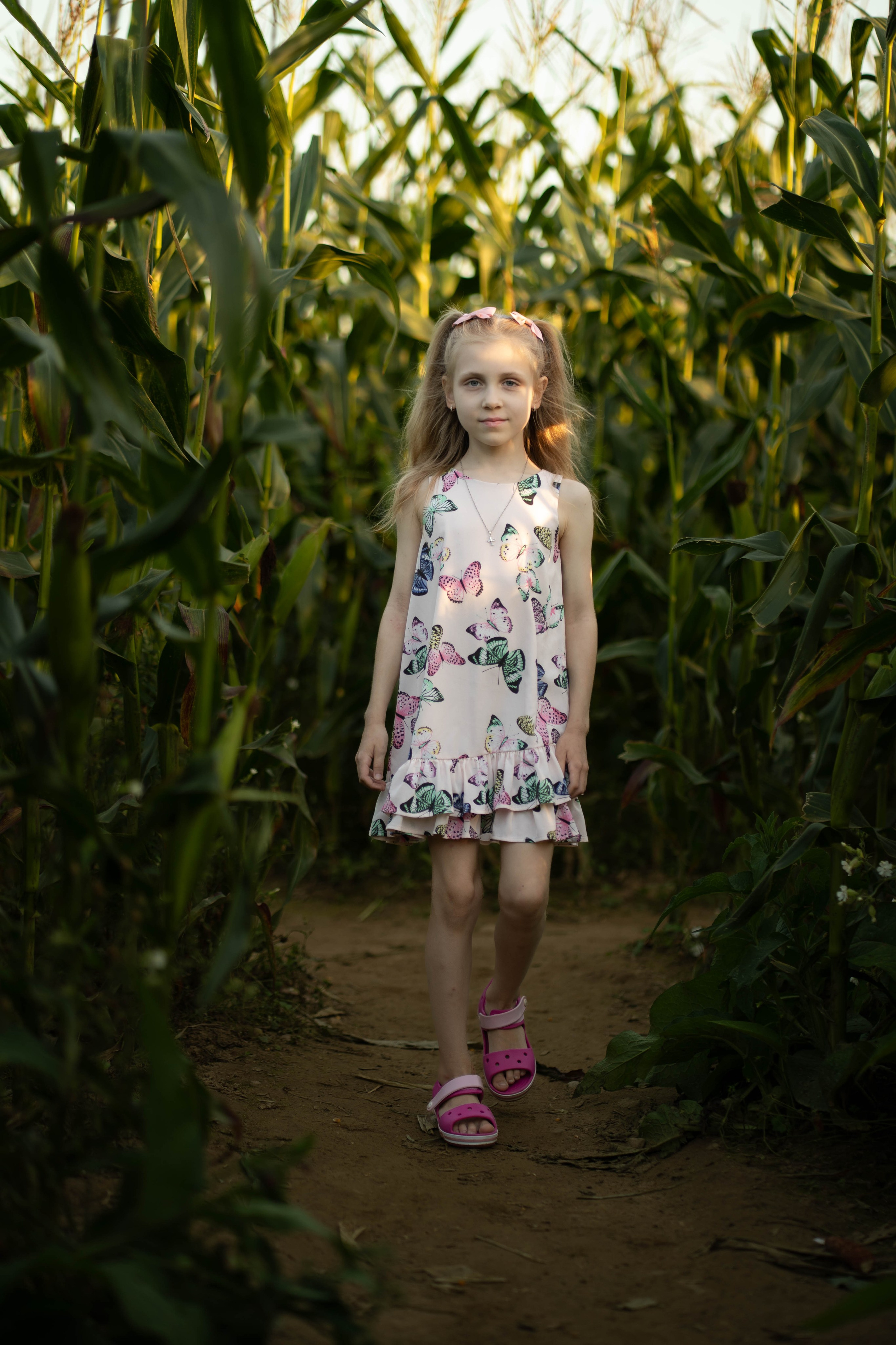 Renata — šeimos fotosesija kukurūzų lauke. Fotografija — Olga Bojarin