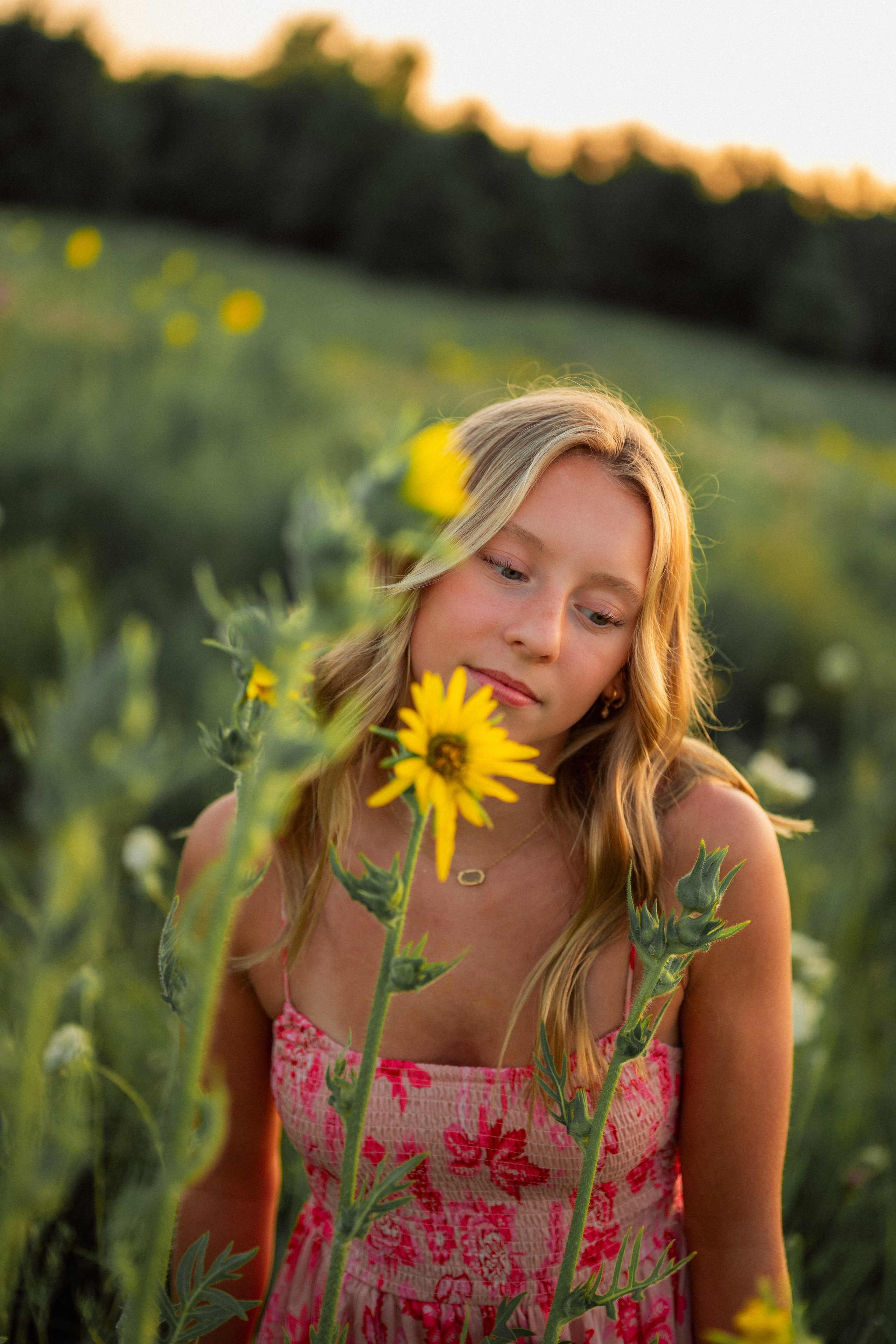 Photographer LLC in De Pere. 