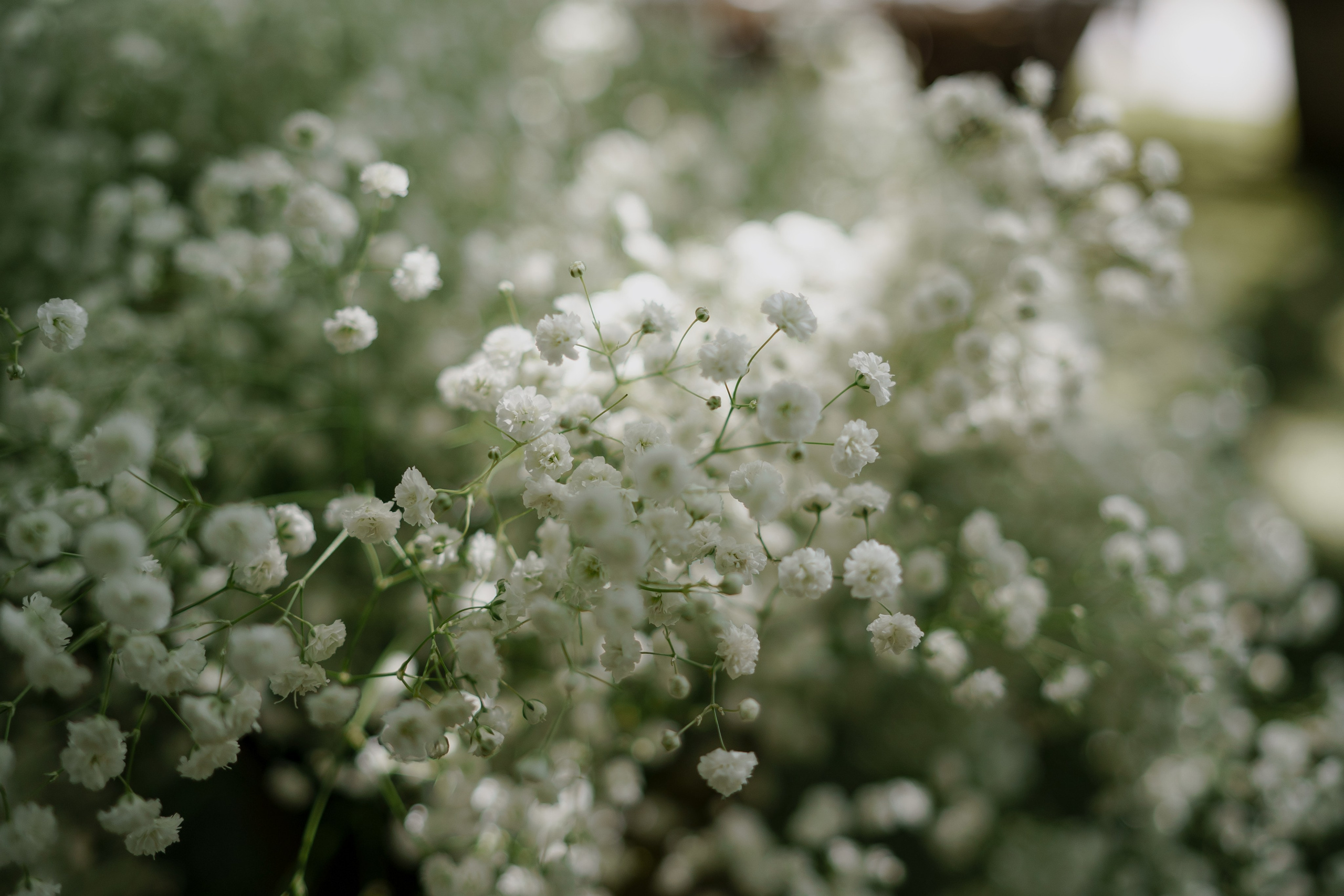 Nicole Kian. Orange County Wedding Photographer & Videographer | Candid & Timeless Wedding Photo + Video | Italiantsev