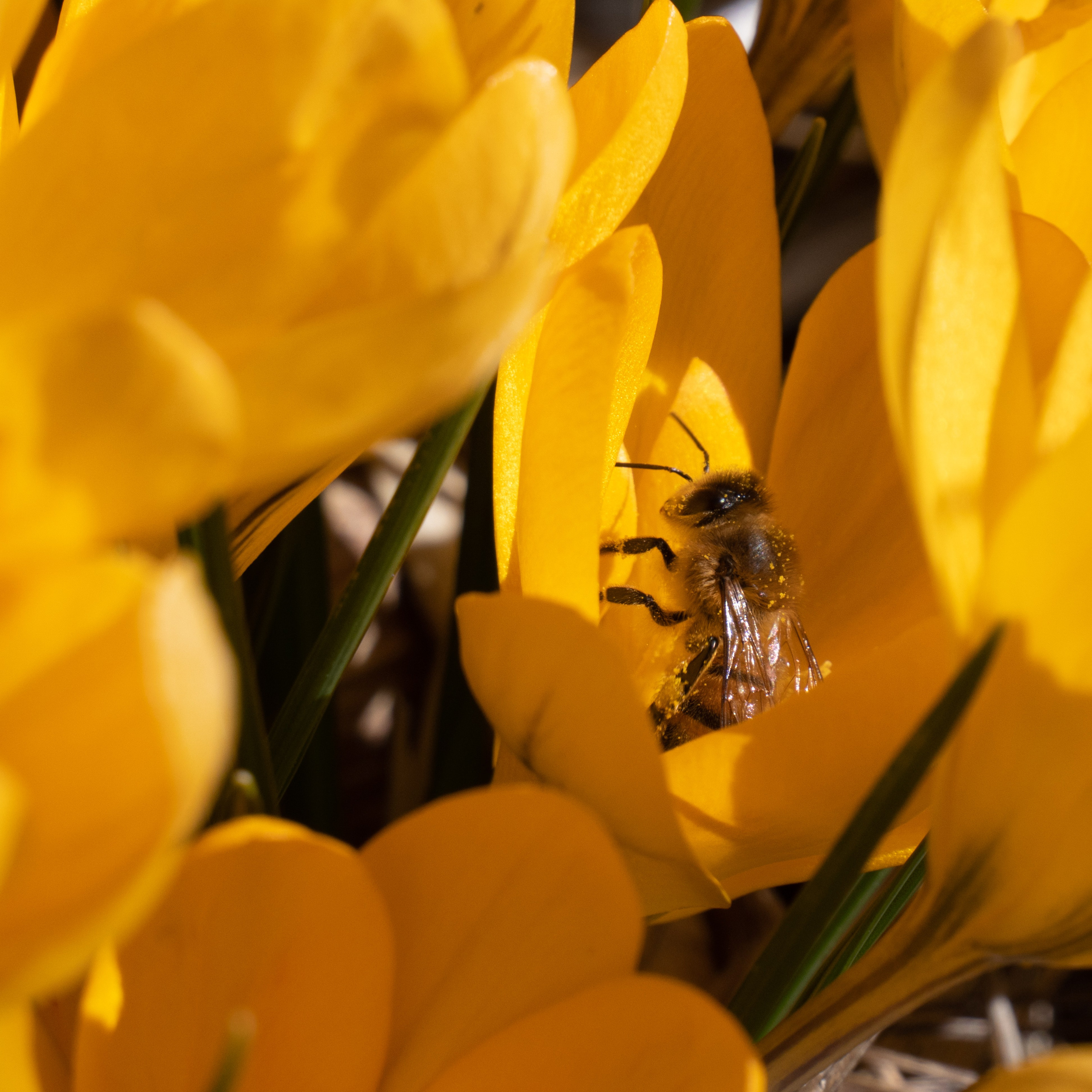 Portfolio. Photographer in Sotenäs municipality. Fotograf i Sotenäs kommun