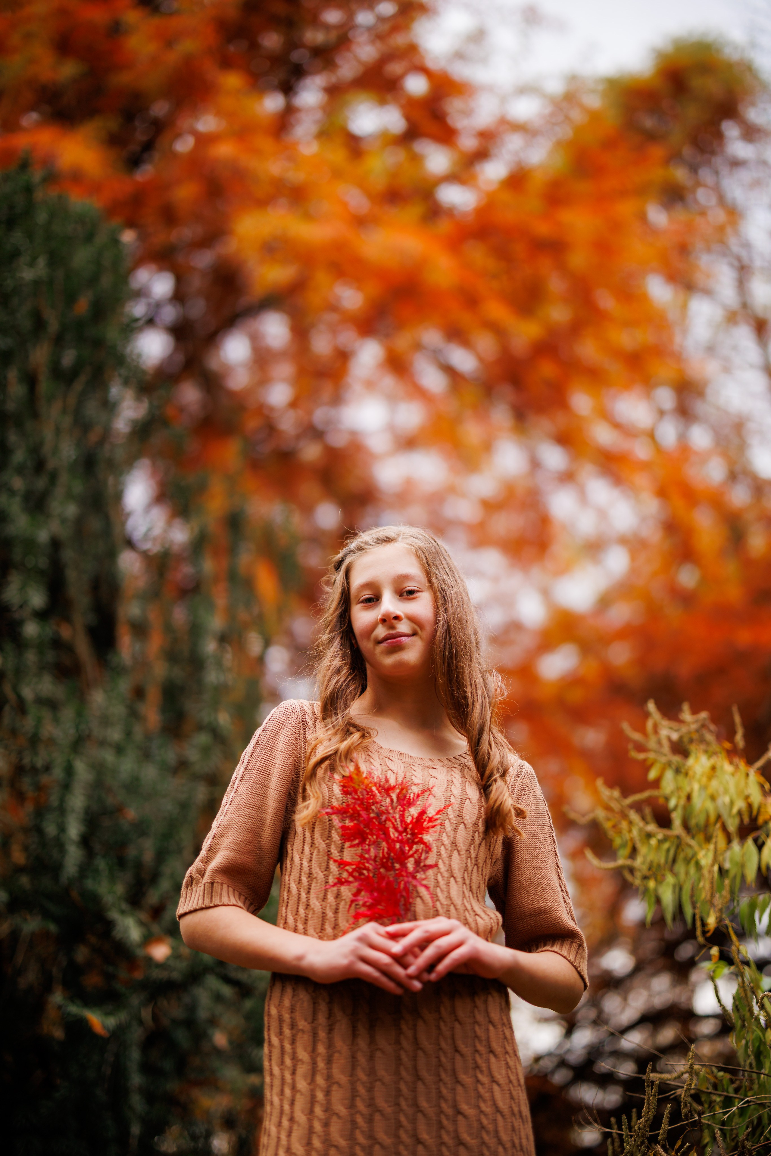 Parcul Dendrologic Gurahonț Gratuit. Trendy Albums