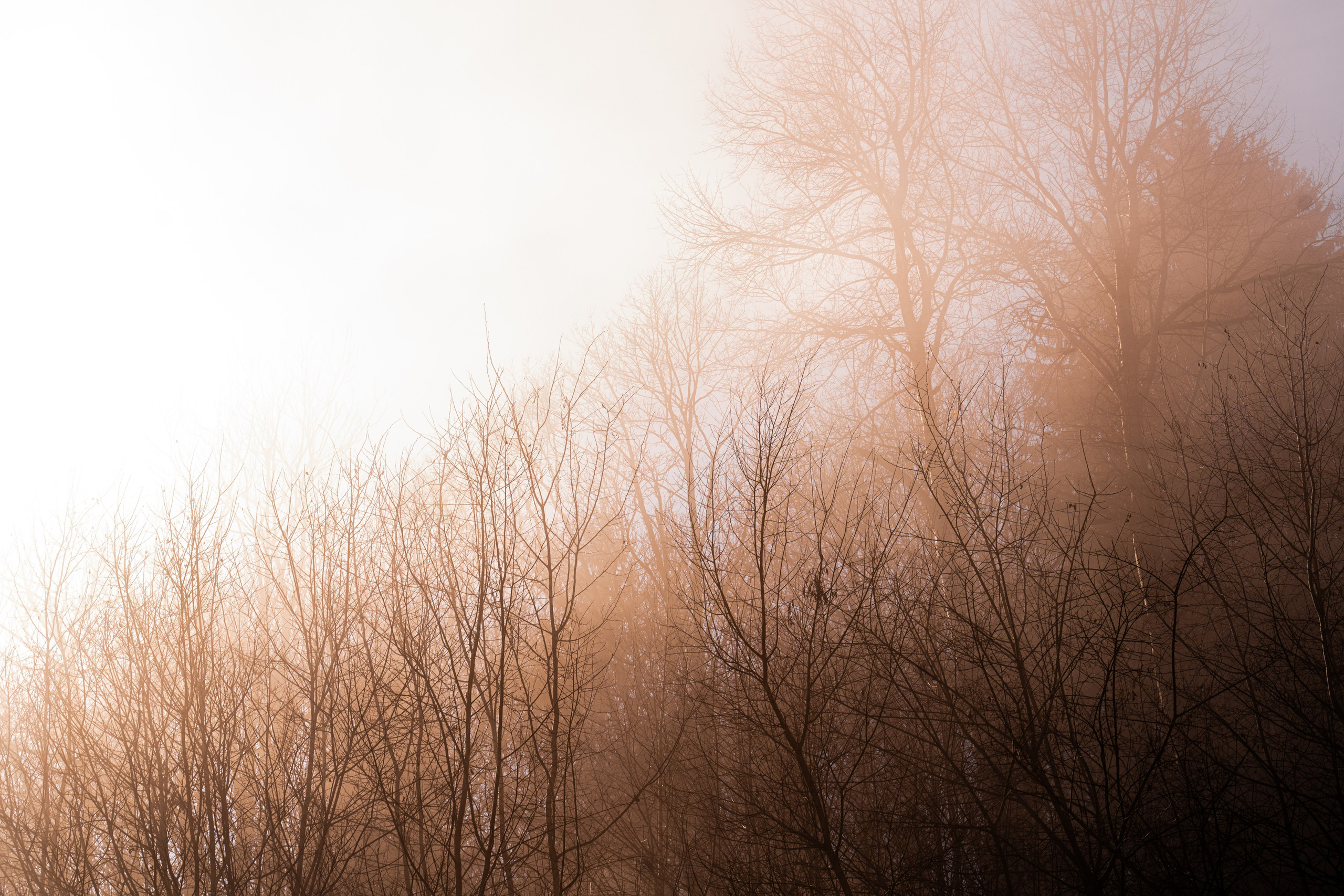 Photographies des Alpes – Photographie de Paysage | Eugenia Andres. Photographe à Genève - Eugenia Andres
