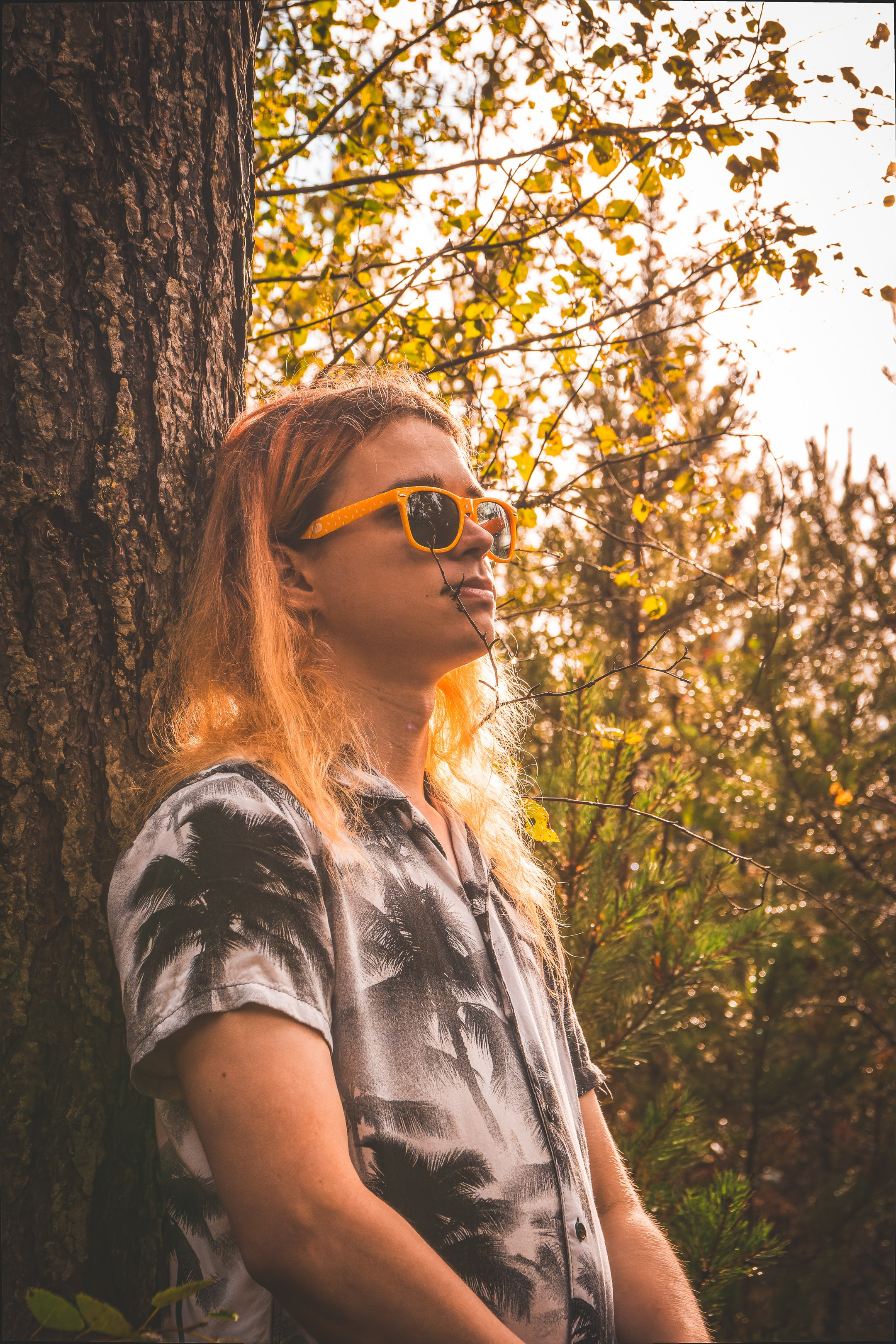 Mets, vihm ja jahedus (Dimitry). Nebula 25 — Fotod teie hingele