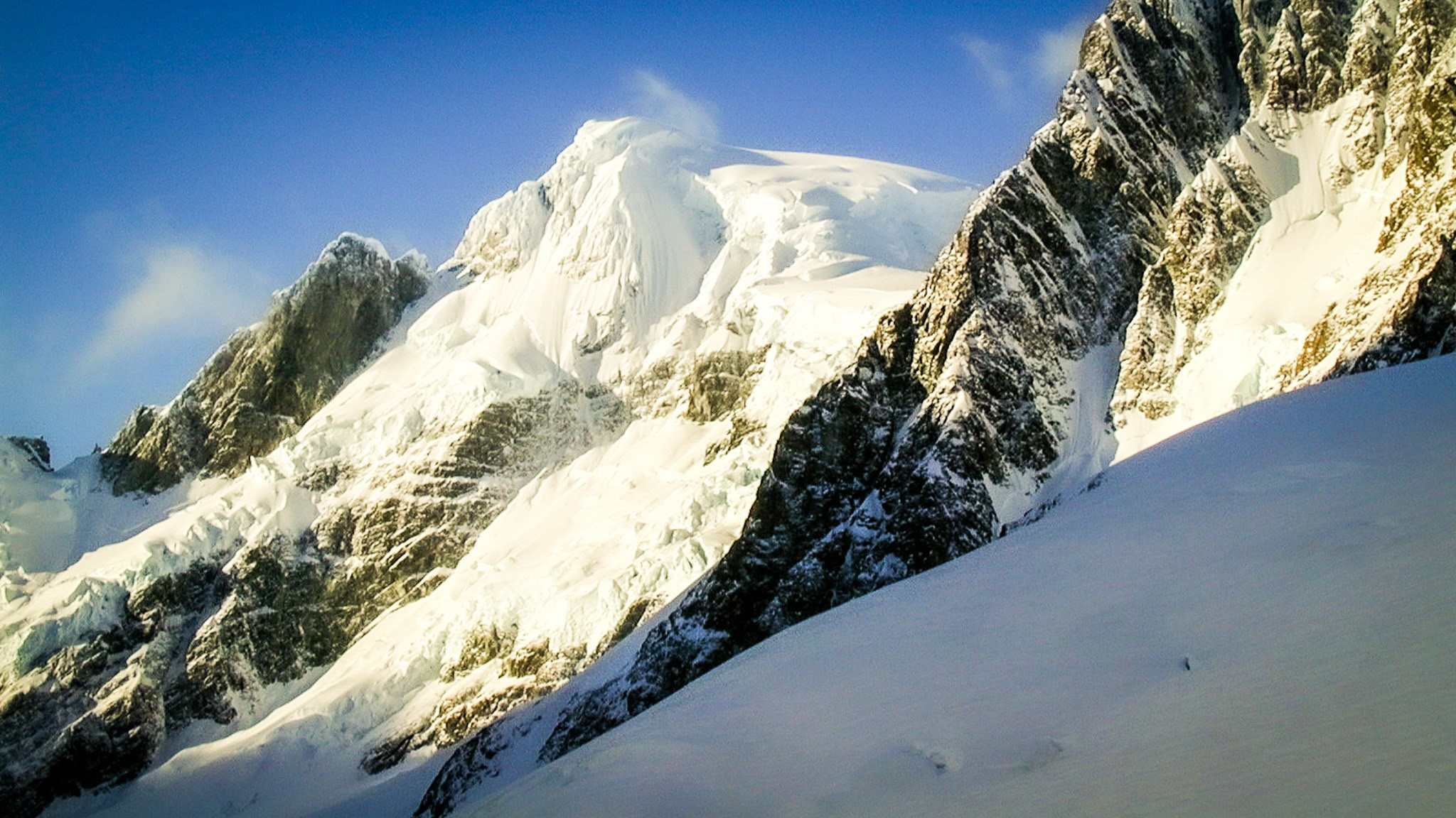 ANTARCTICA / 2004. Reportage concert portrait photography in the San Francisco Bay Area
