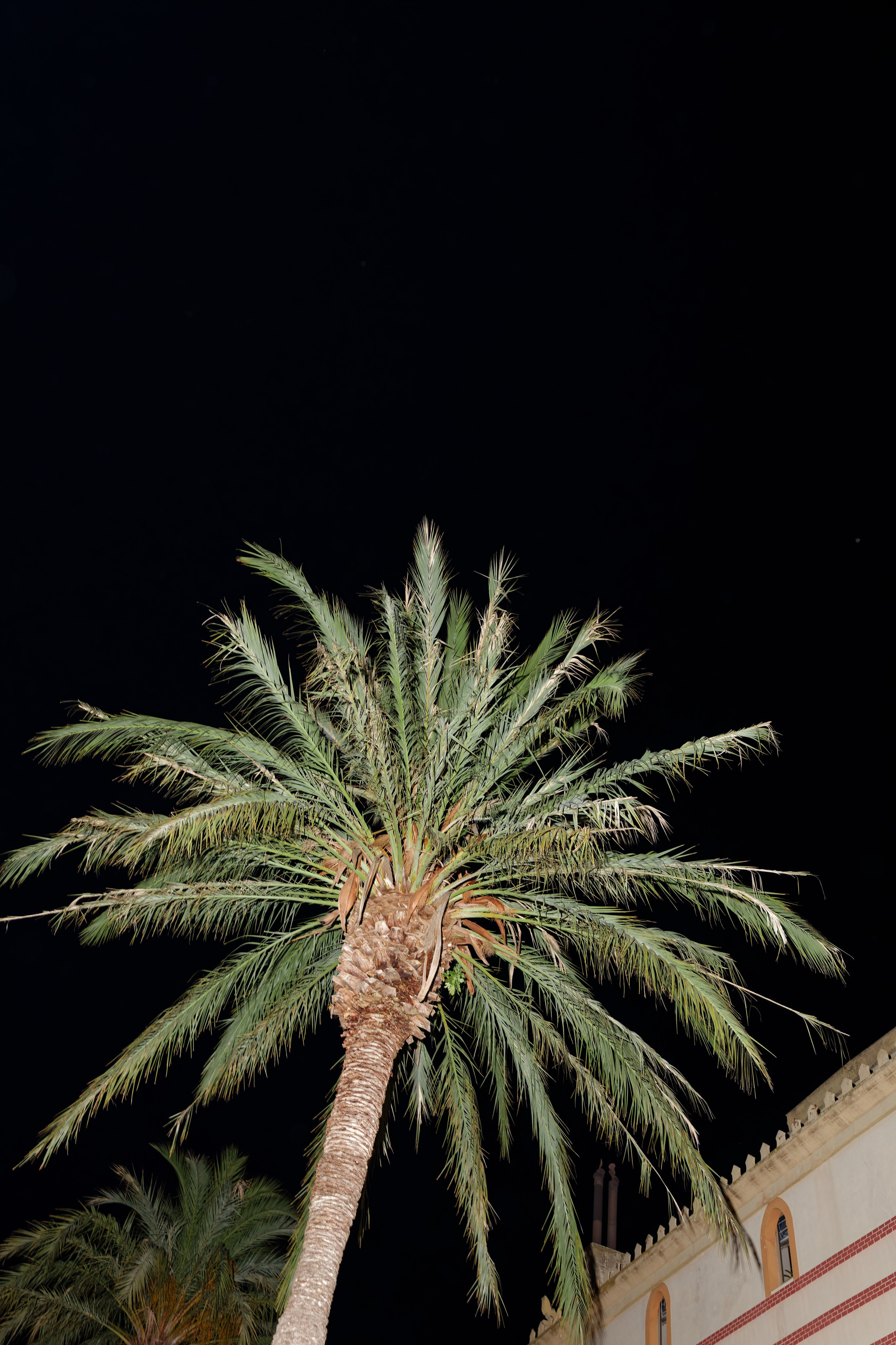 Wedding of Gracie & Joe at Gran Villa Rosa, Barcelona