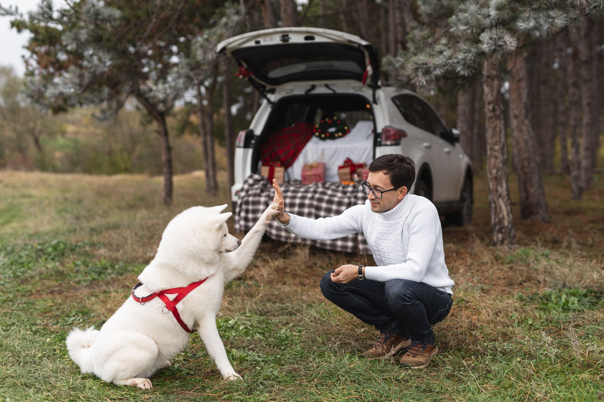 Lime hub. Fotograf in Bulgarien Katerina Zubkova