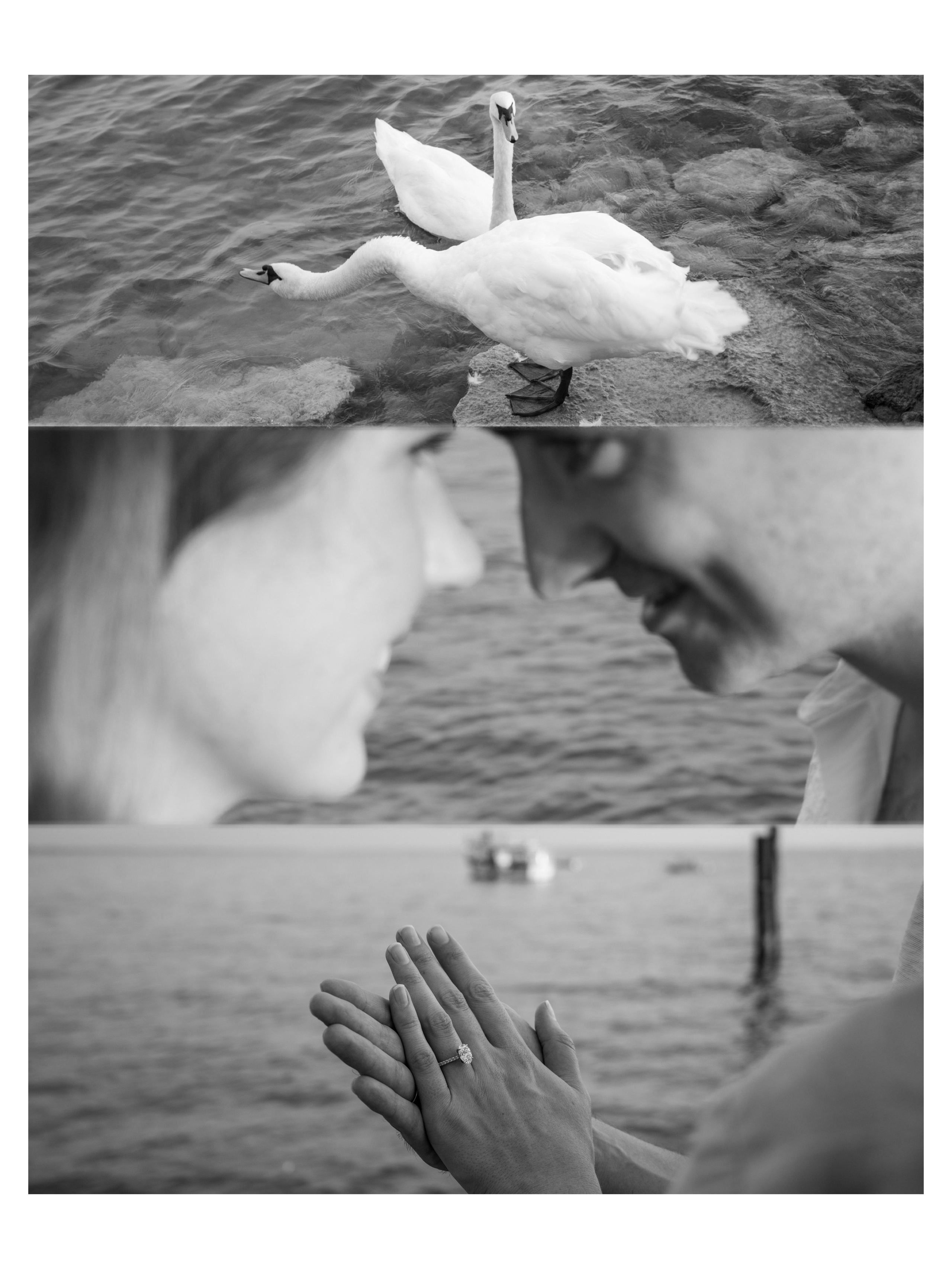 Surprise proposal on Lake Garda at sunset