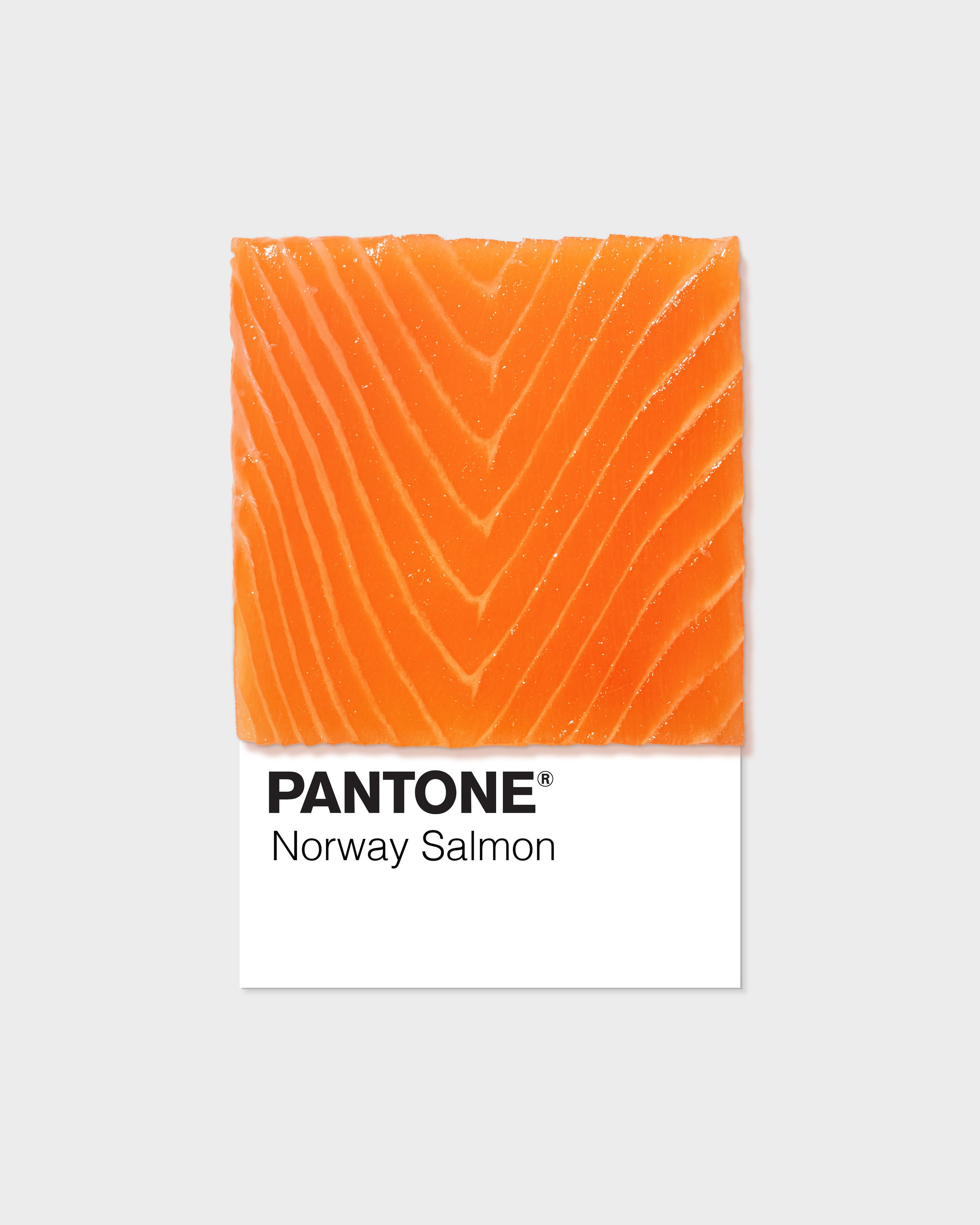 SushiMan. Тина Ковальская | food&предметный фотограф |Тбилиси