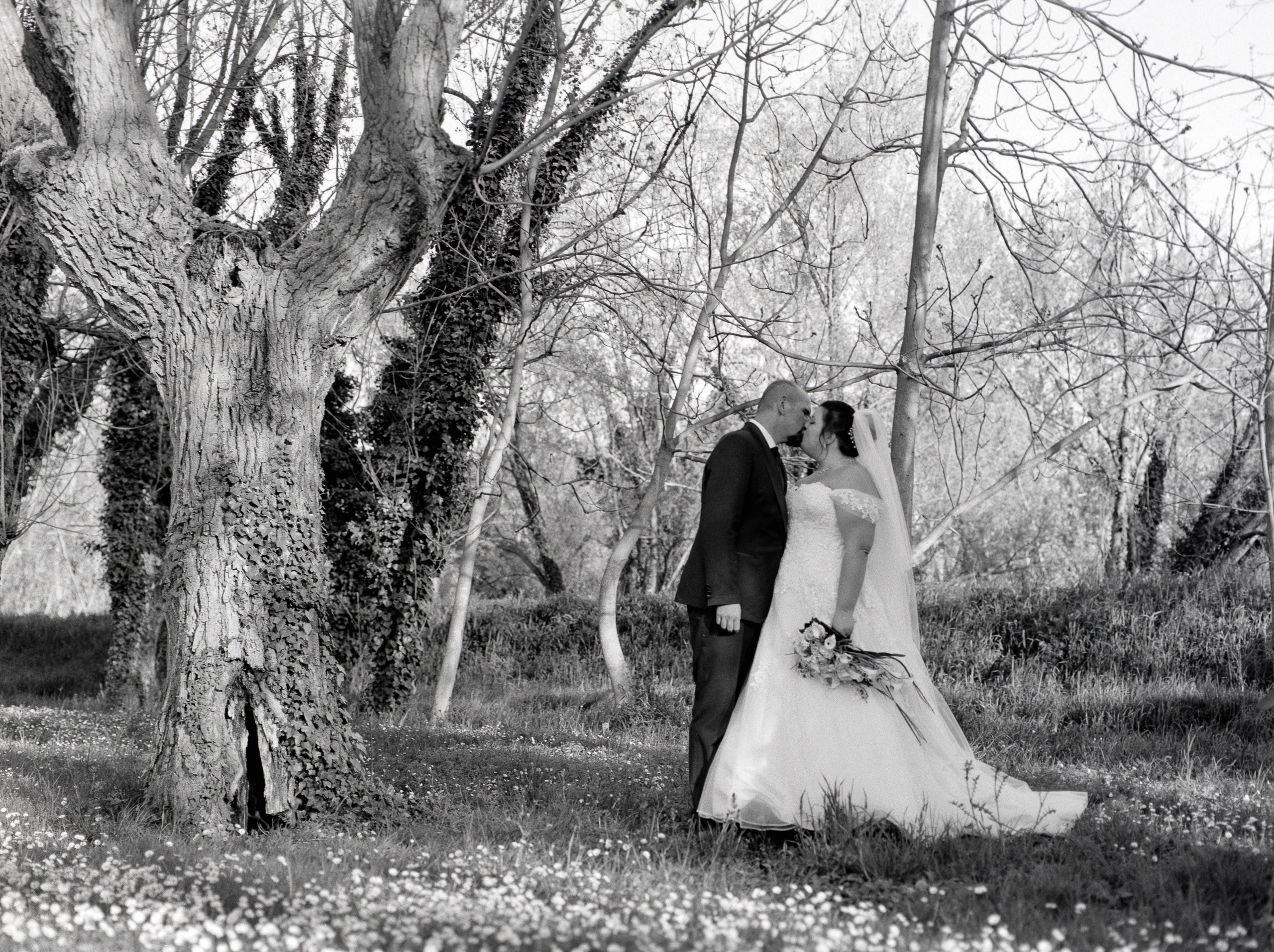 Medio formato - Mamiya. Fotografia e video