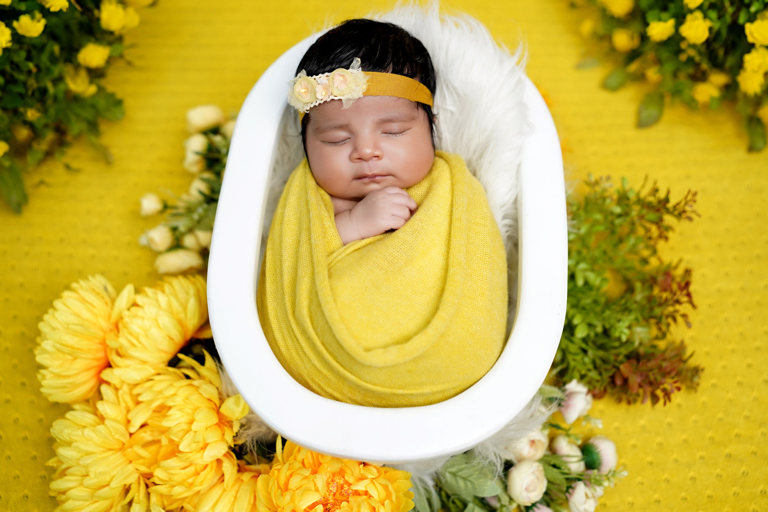 New born. TNF photo & filming