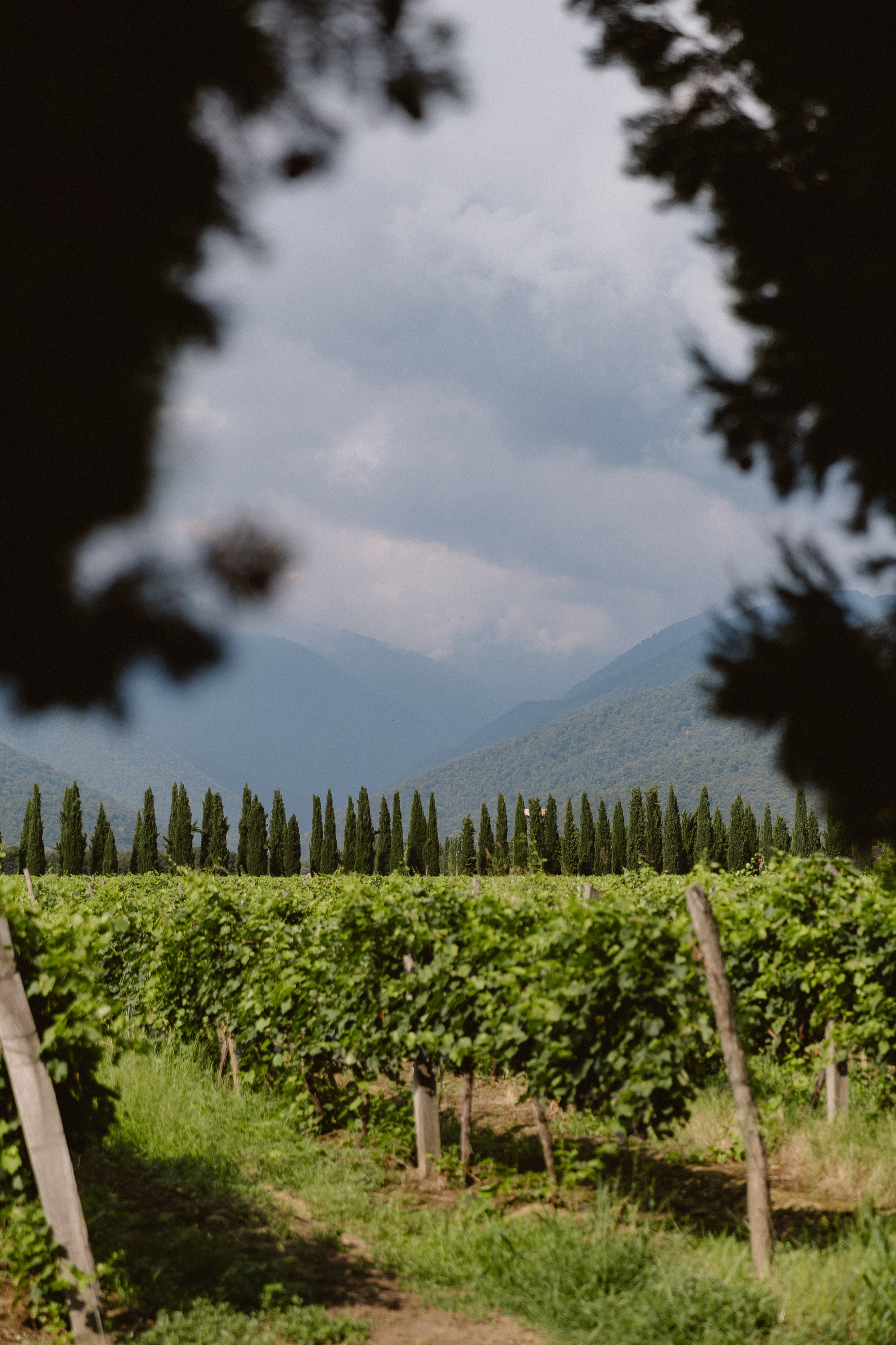 Vlada & Anton. Photographer Anna Nazarenko