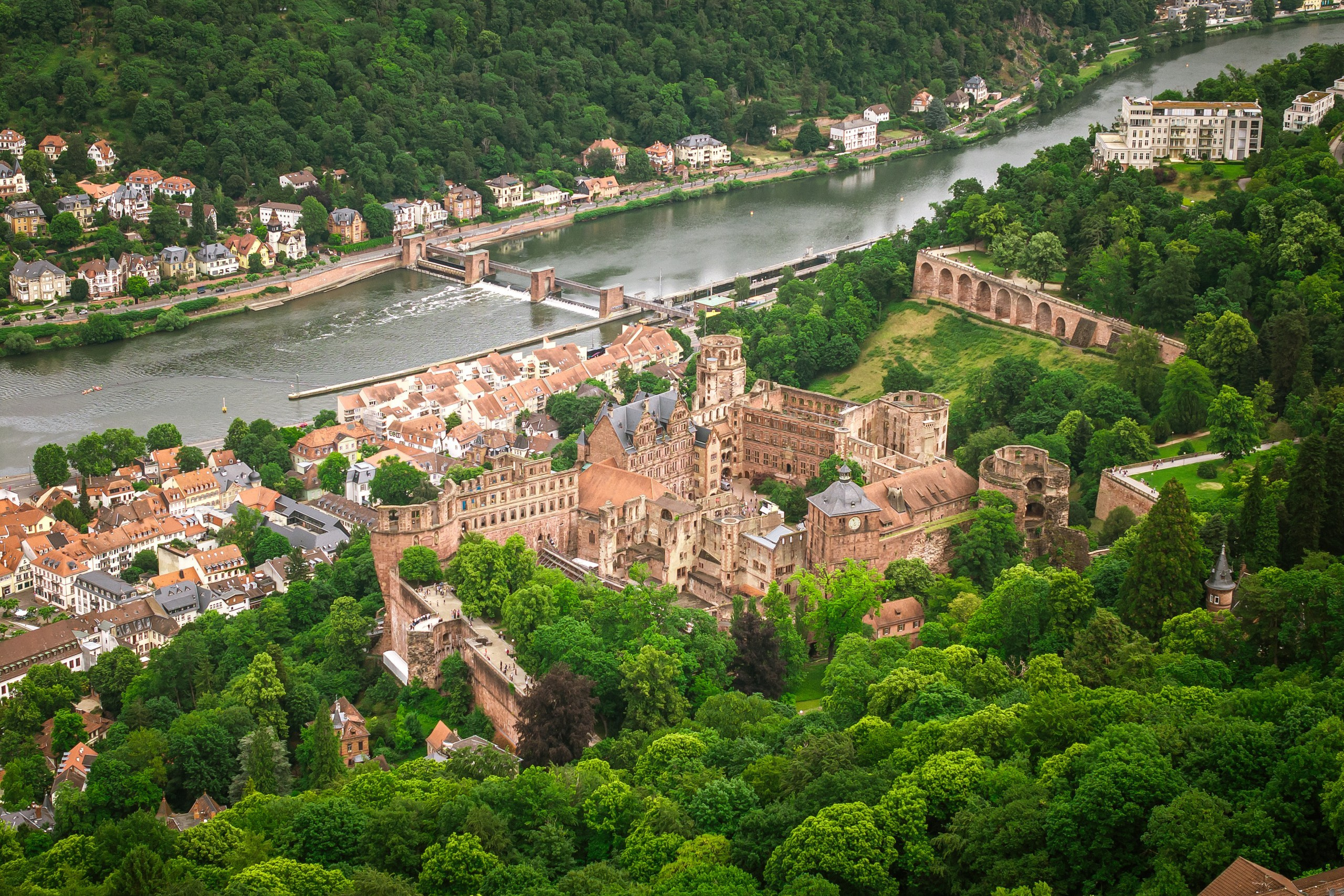 Exchange of rings during the vows in the Heidelberg castle chapel