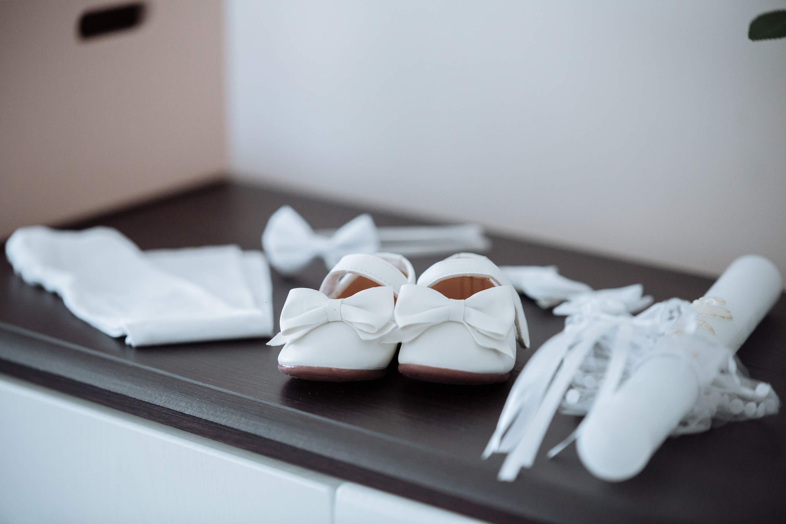 Emilijos krikštynos. Wedding, christening and family photographers in Vilnius, Lithuania