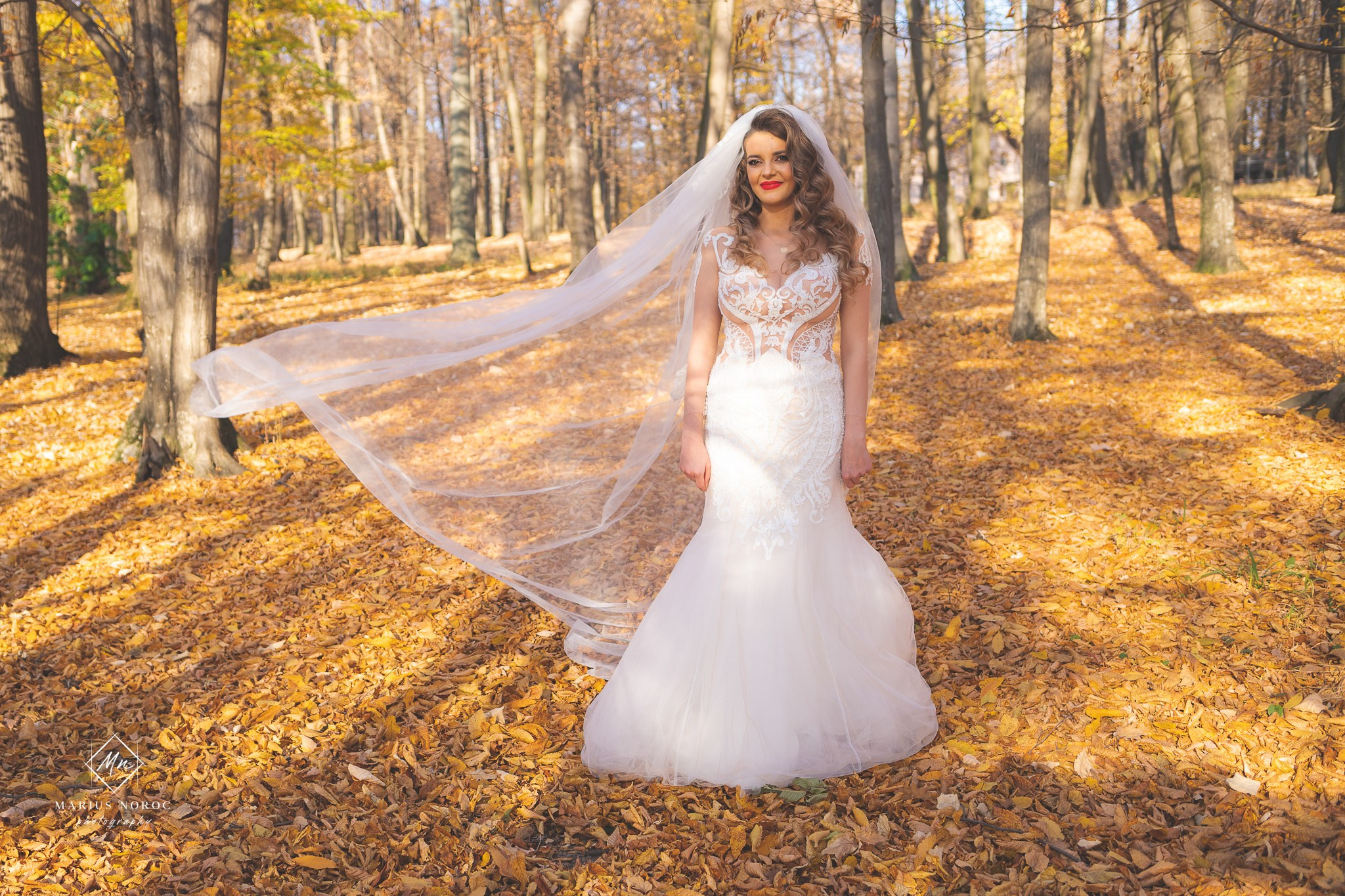 Alexandra & Alin | Padurea Bucium Iasi