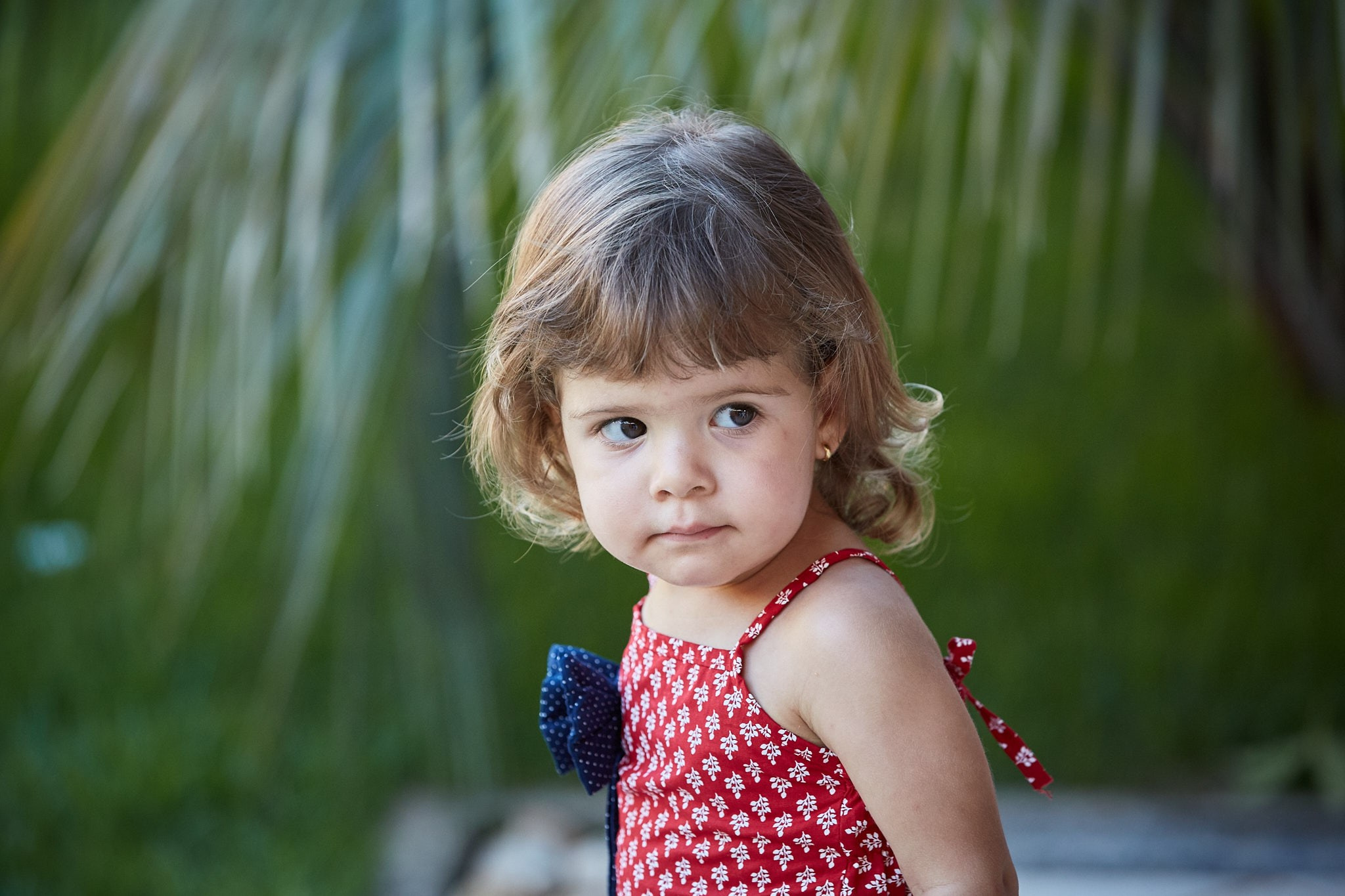 Ensaio Viviane, Sophia, Sara e Gabriel. Fotógrafo de casamentos em Florianópolis