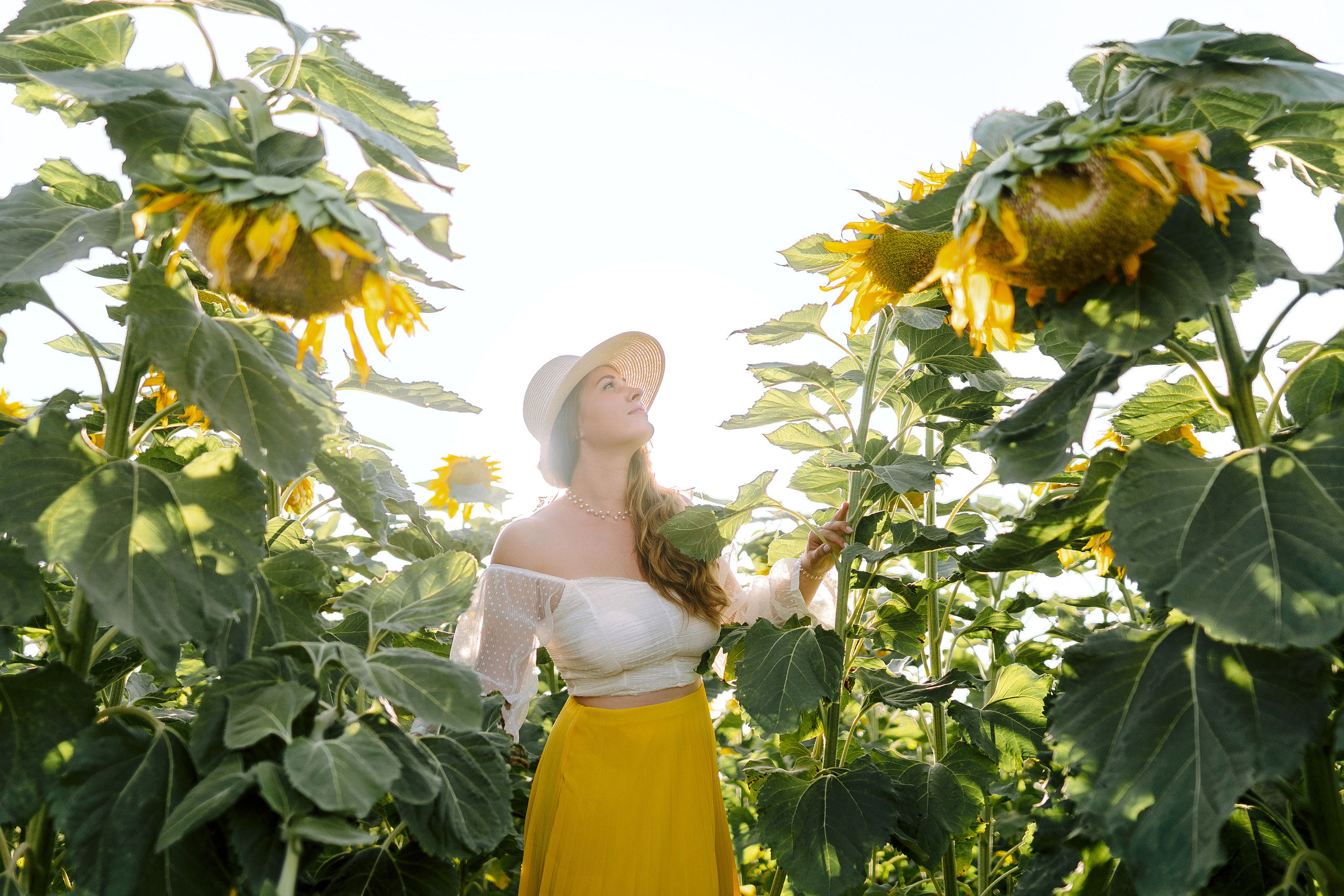 Семейная съемка в поле подсолнухов. Фотограф в Португалии Полина Готовая