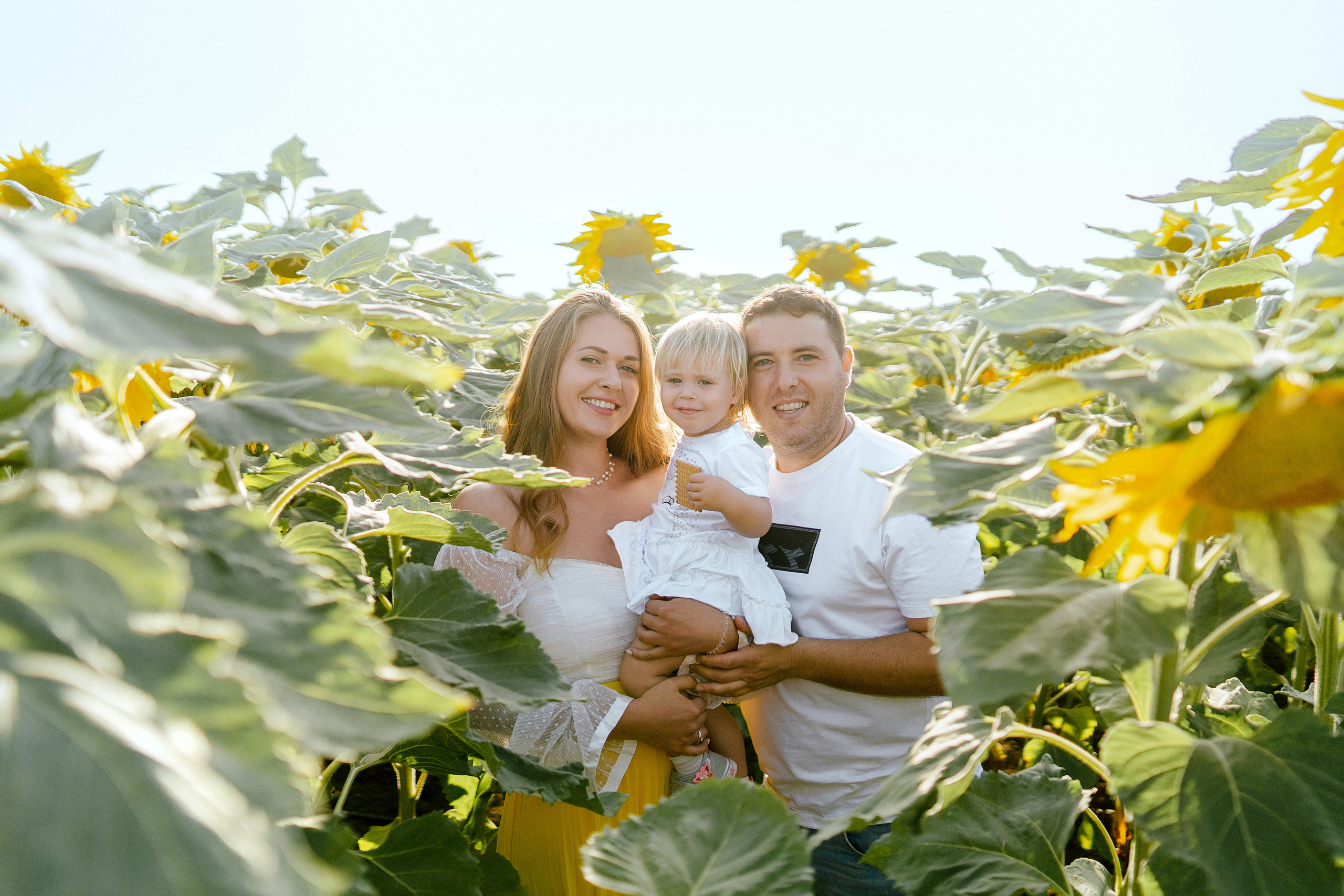 Семейная съемка в поле подсолнухов. Фотограф в Португалии Полина Готовая