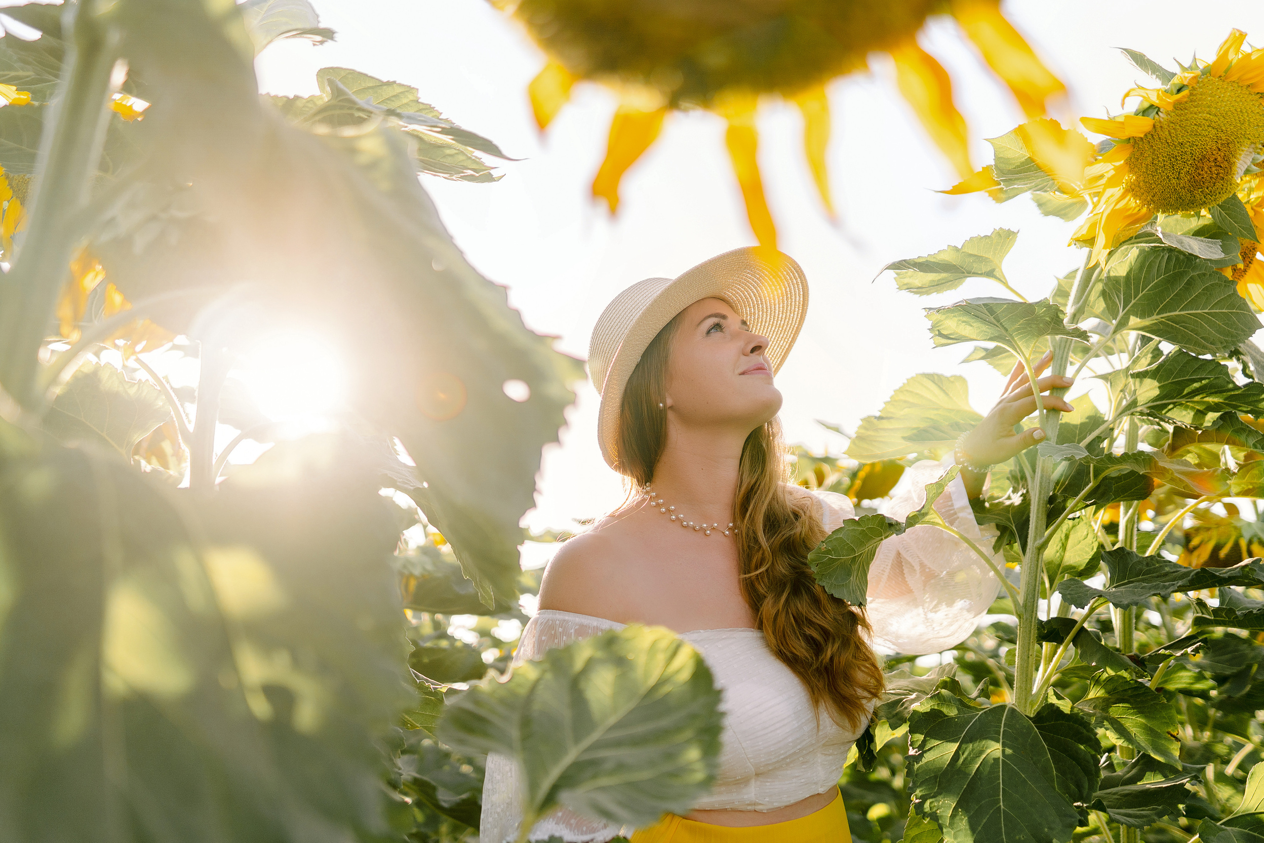 Семейная съемка в поле подсолнухов. Фотограф в Португалии Полина Готовая