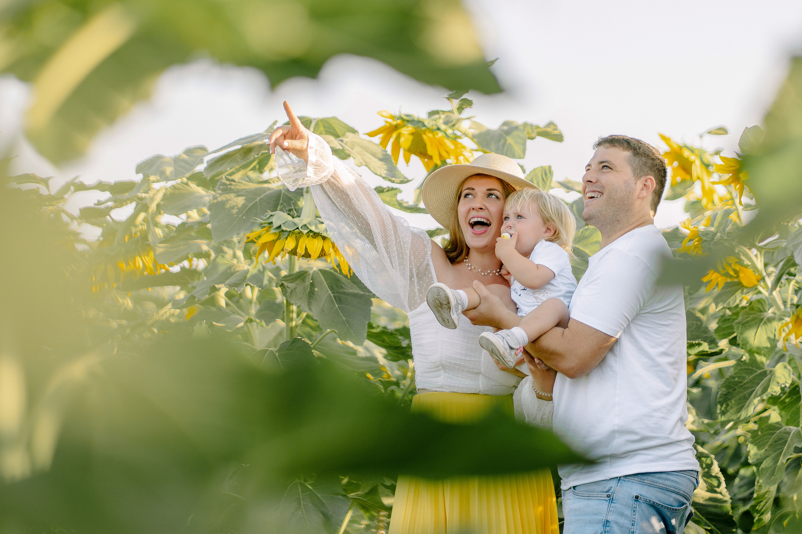 Семейная съемка в поле подсолнухов. Фотограф в Португалии Полина Готовая