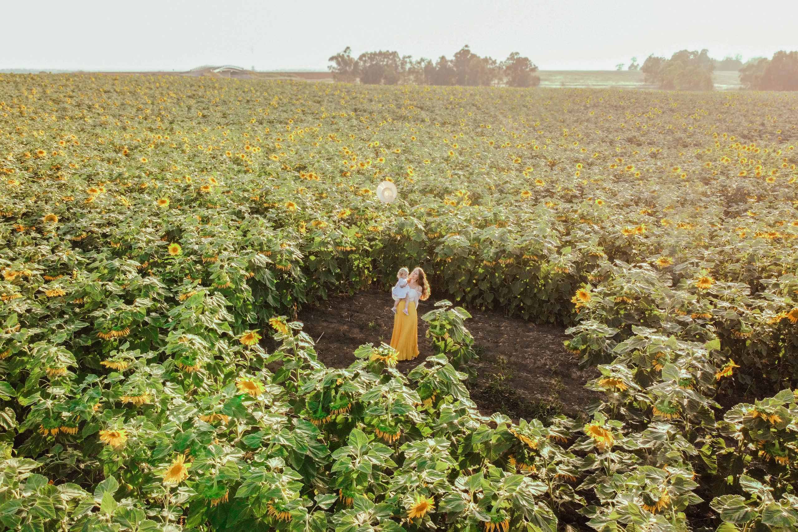 Семейная съемка в поле подсолнухов. Фотограф в Португалии Полина Готовая