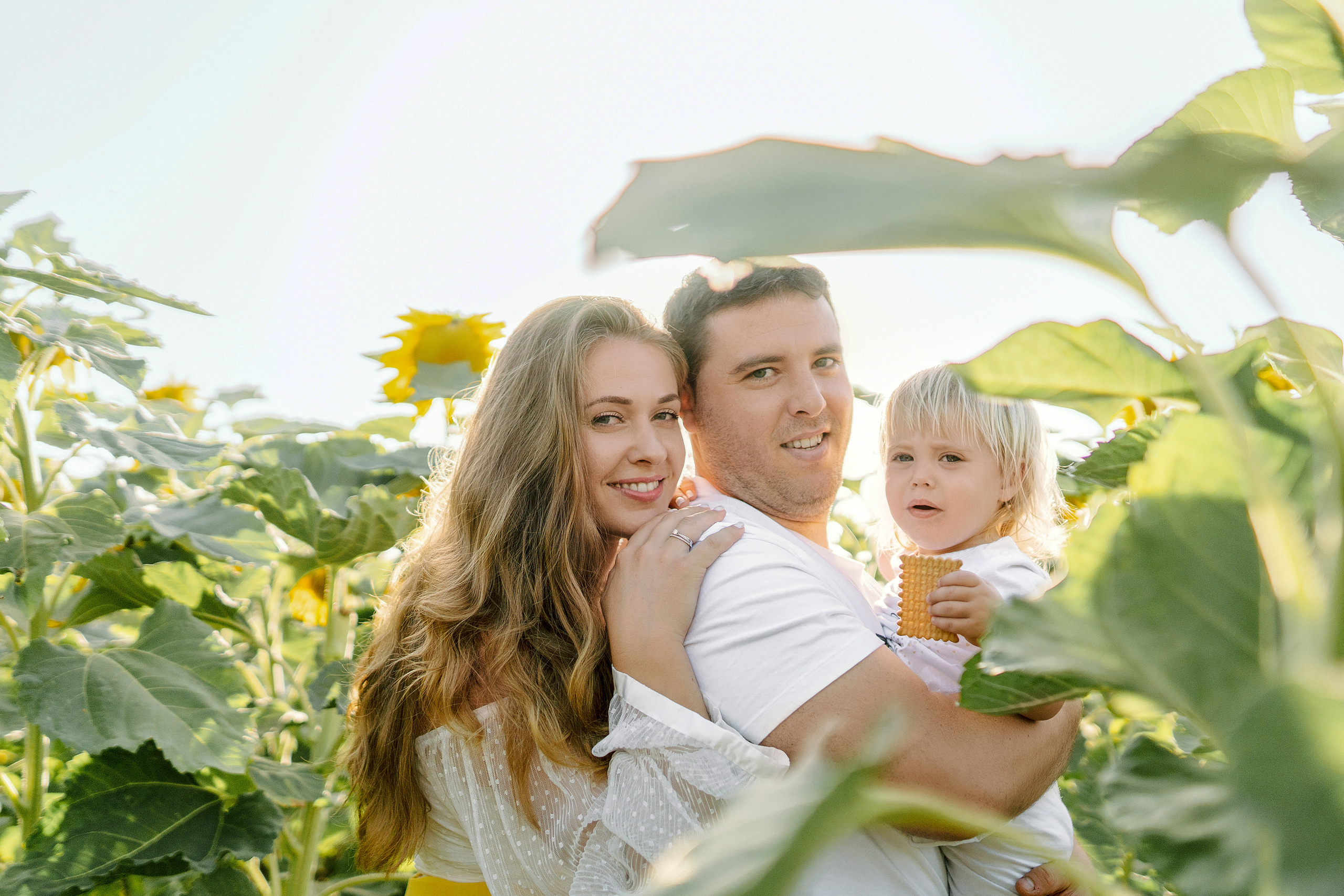 Семейная съемка в поле подсолнухов. Фотограф в Португалии Полина Готовая