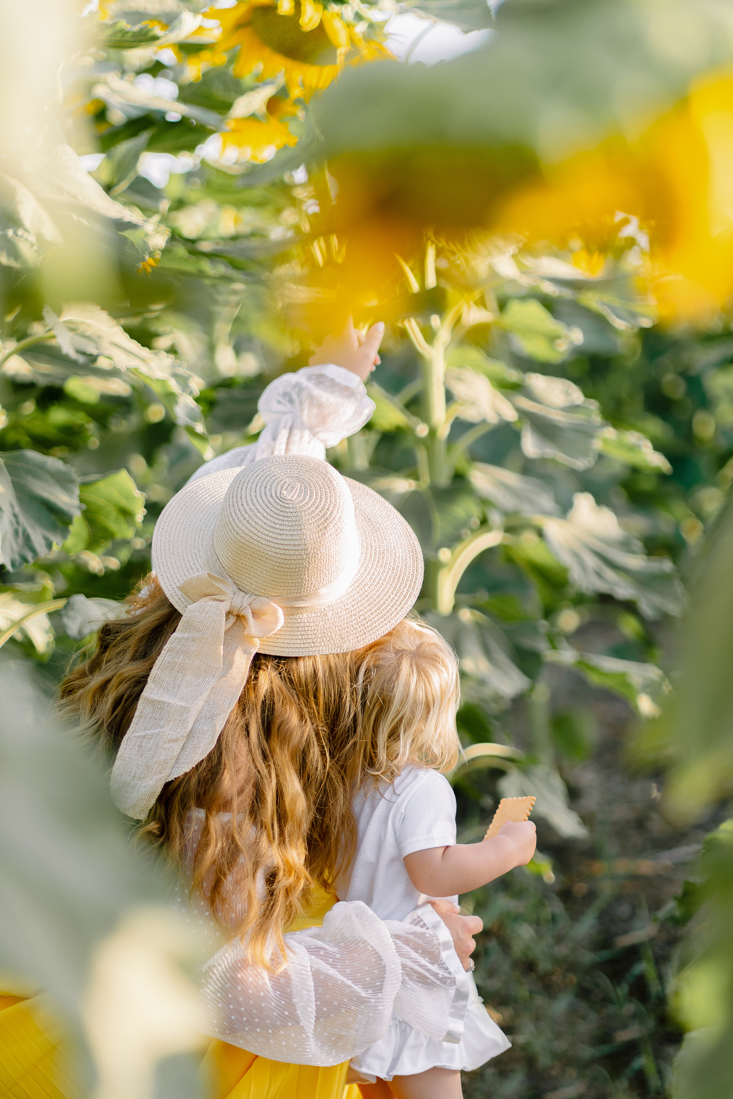 Семейная съемка в поле подсолнухов. Фотограф в Португалии Полина Готовая
