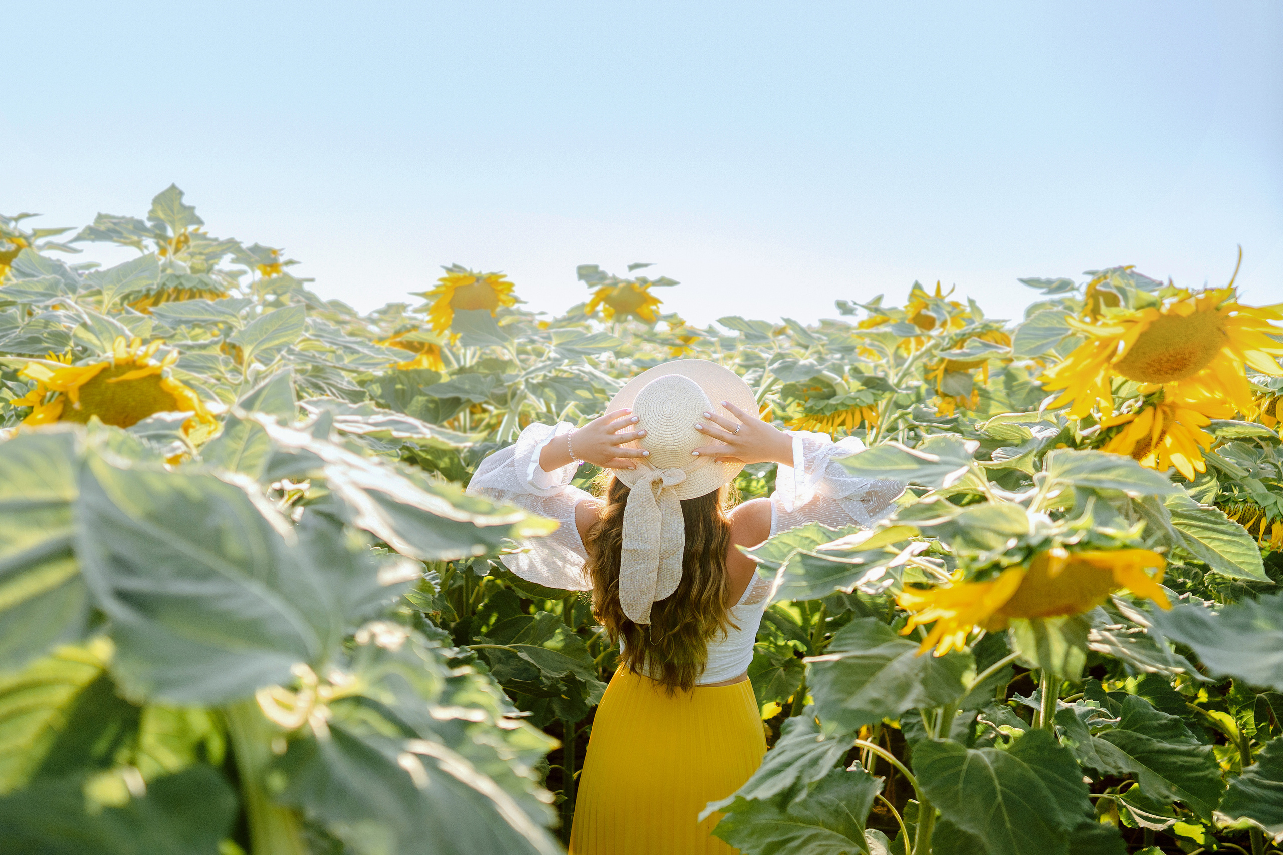 Семейная съемка в поле подсолнухов. Фотограф в Португалии Полина Готовая