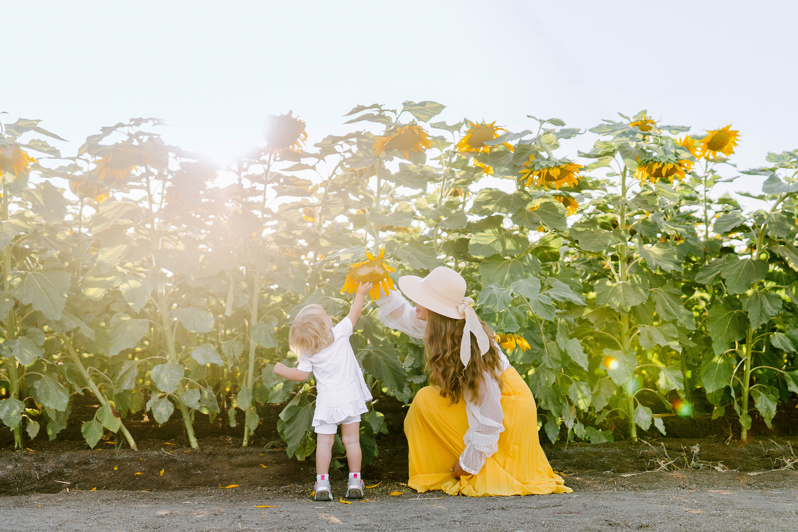 Семейная съемка в поле подсолнухов. Фотограф в Португалии Полина Готовая