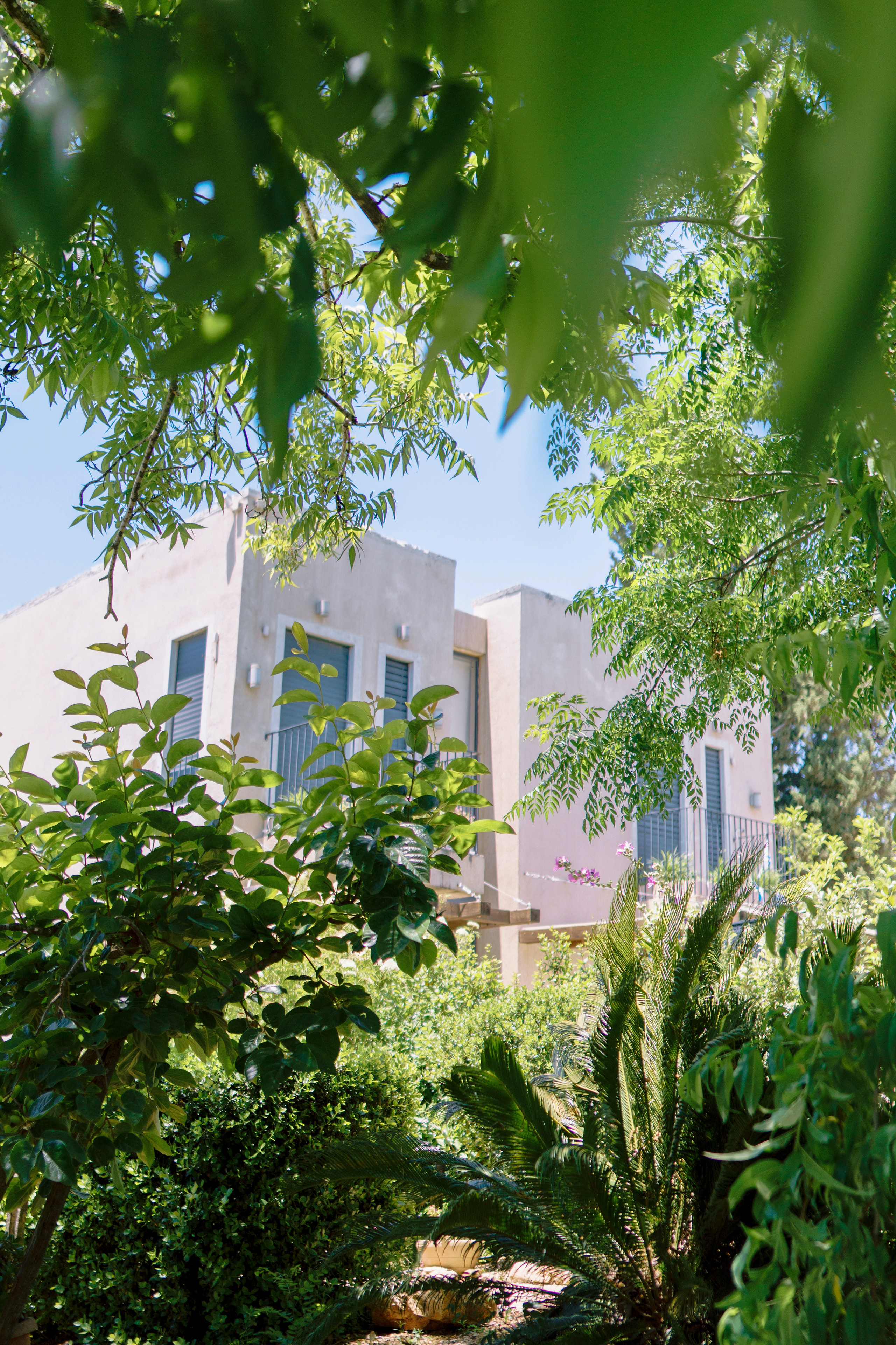 Religious wedding in Yad haShmona near Jerusalem, Itzik & Adel. Photographer in Portugal Polina Gotovaya