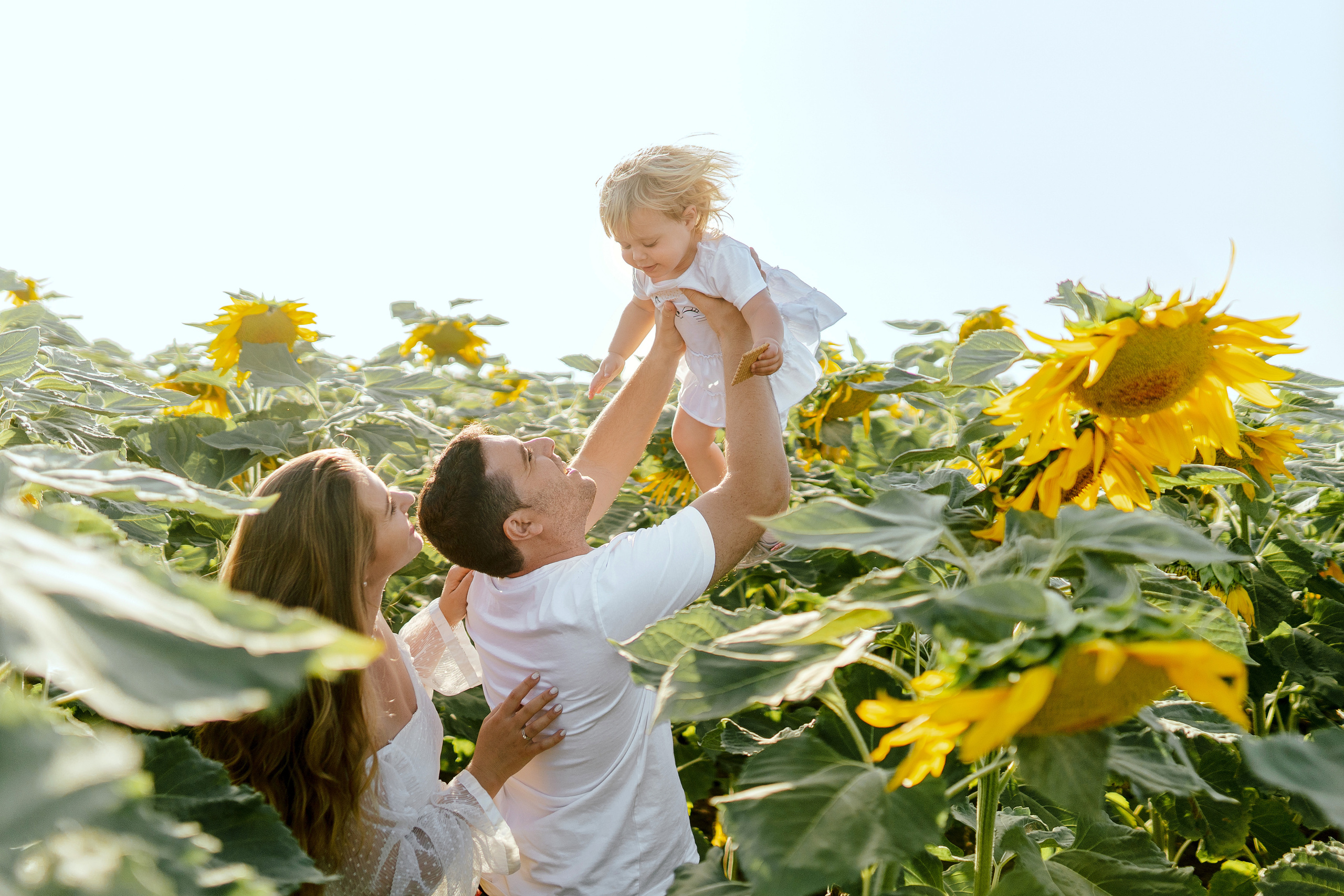 Семейная съемка в поле подсолнухов. Фотограф в Португалии Полина Готовая