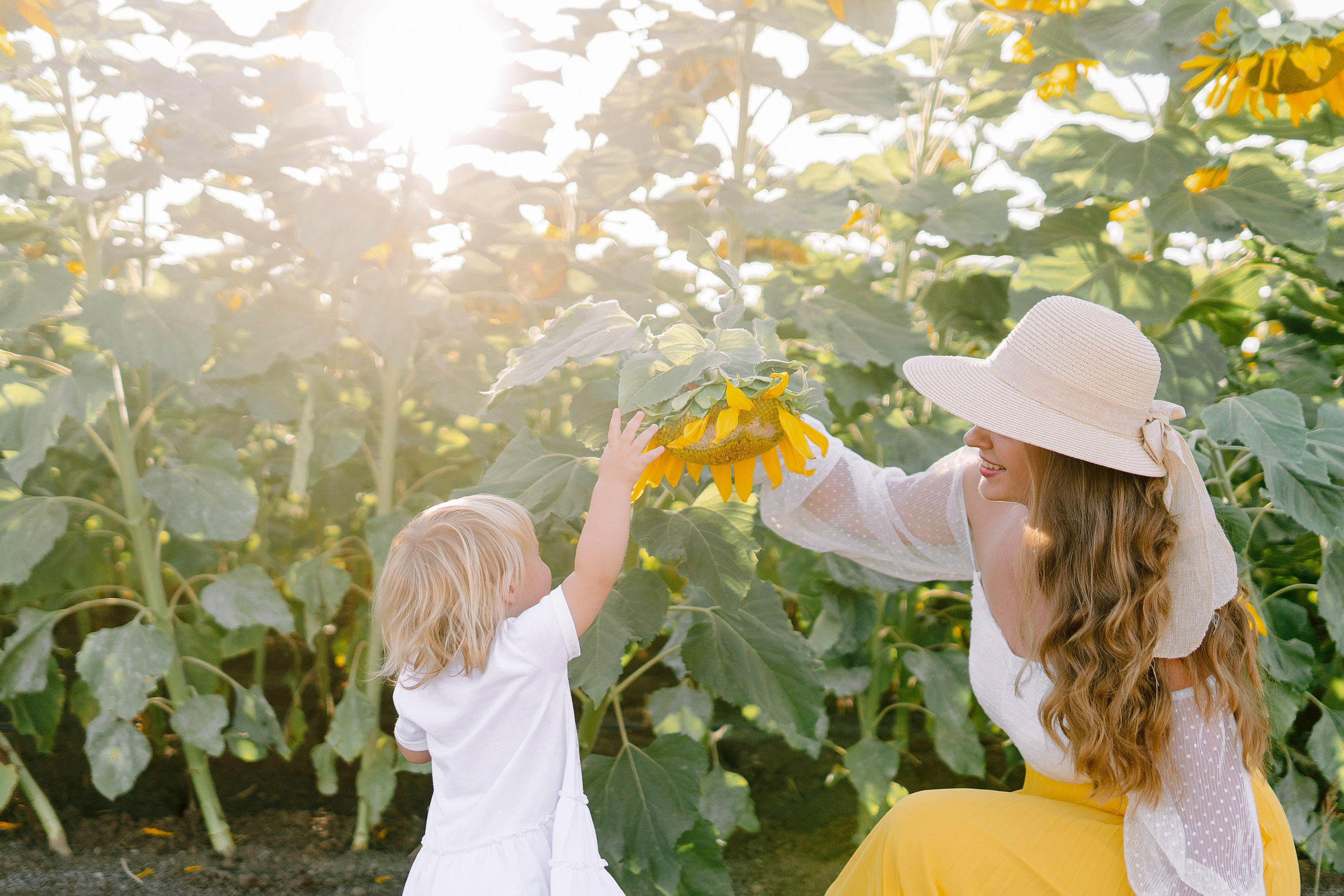 Семейная съемка в поле подсолнухов. Фотограф в Португалии Полина Готовая