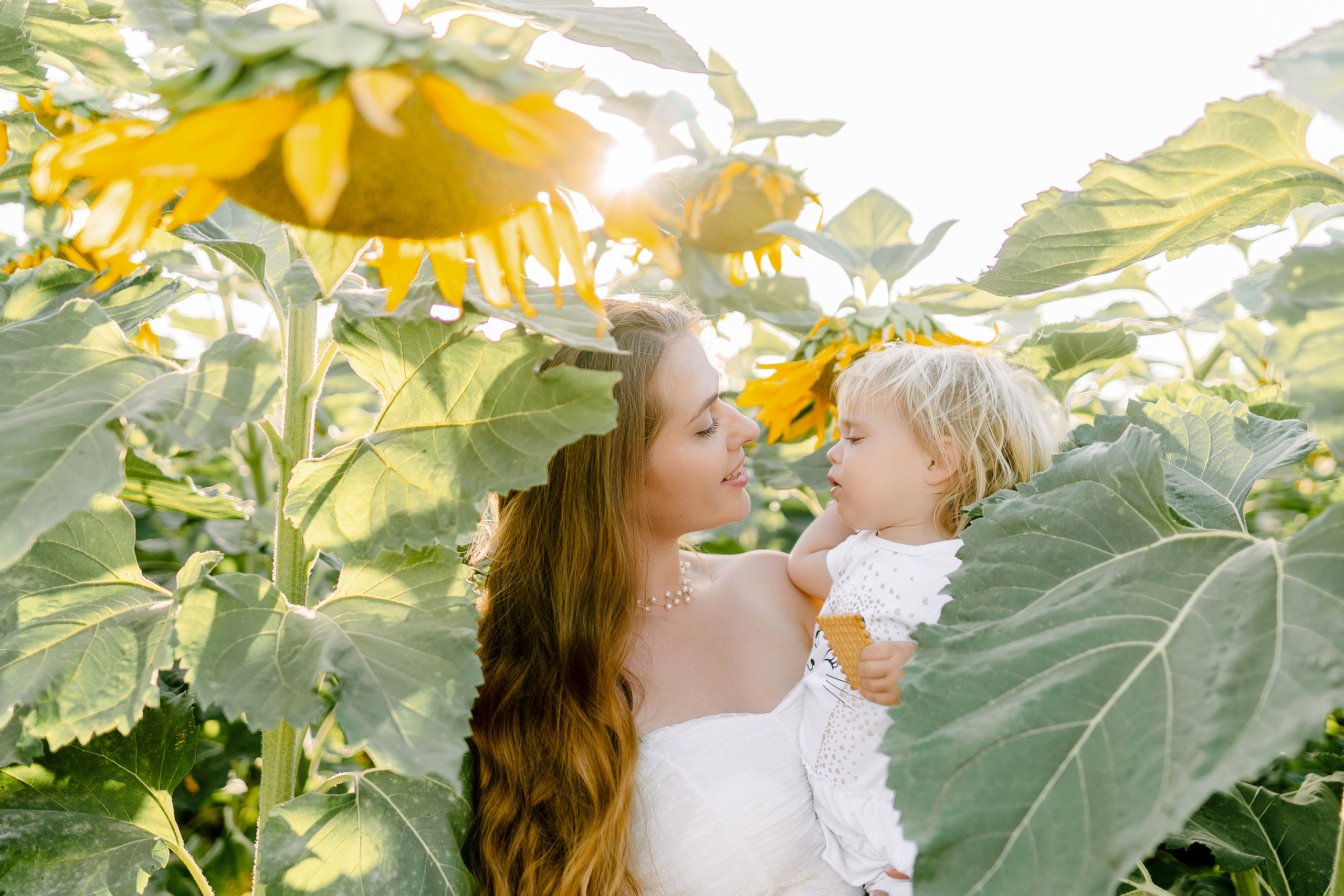 Семейная съемка в поле подсолнухов. Фотограф в Португалии Полина Готовая