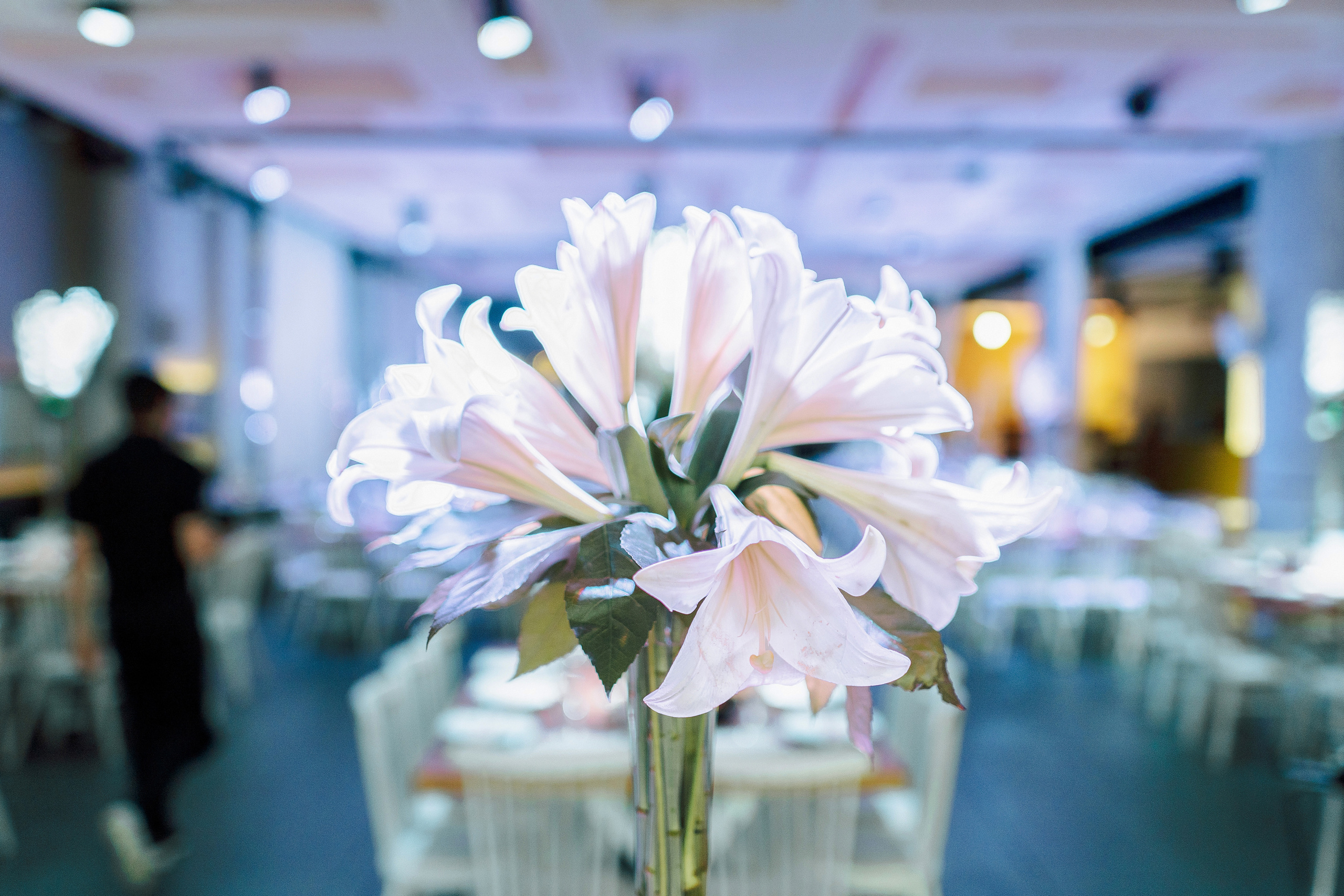 Wedding by the sea, Paz & Maria. Photographer in Portugal Polina Gotovaya