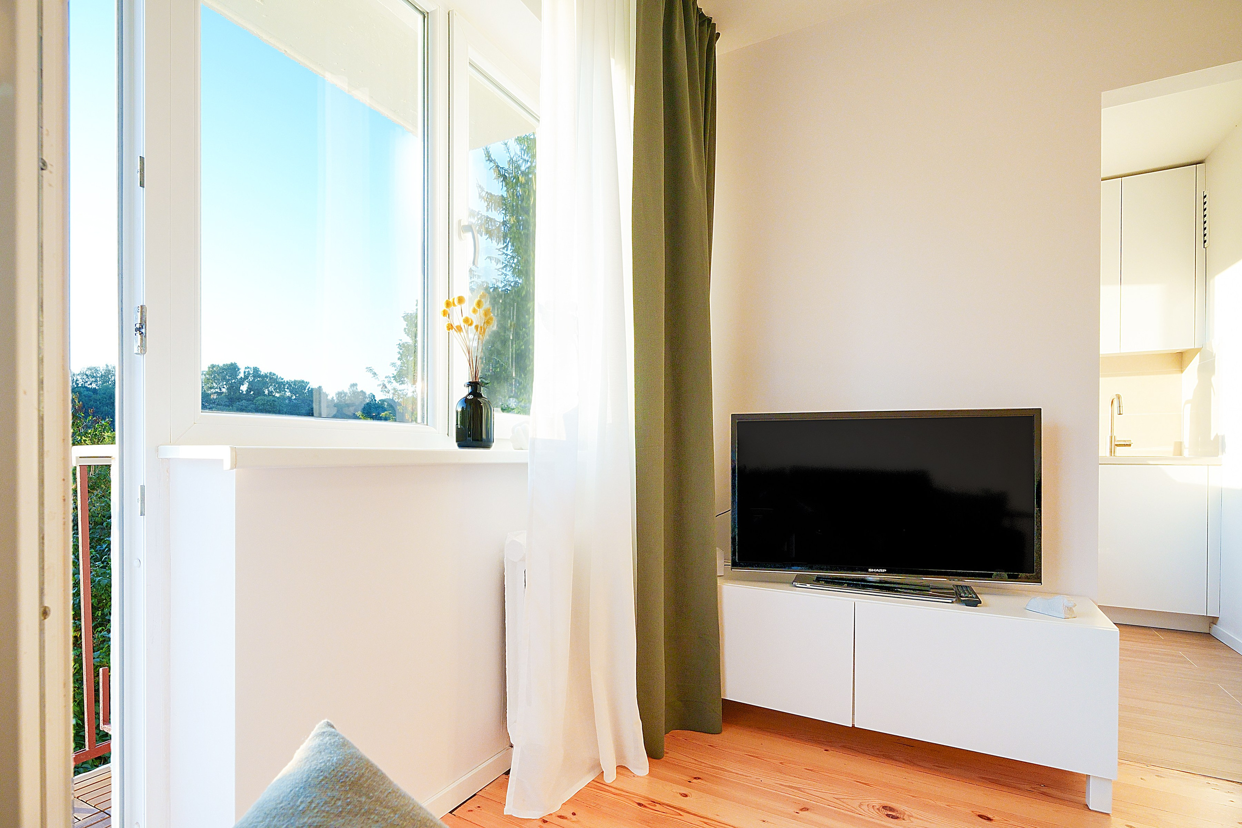 Vileišio g. 24. Elina Sapiega fotografė Vilniuje