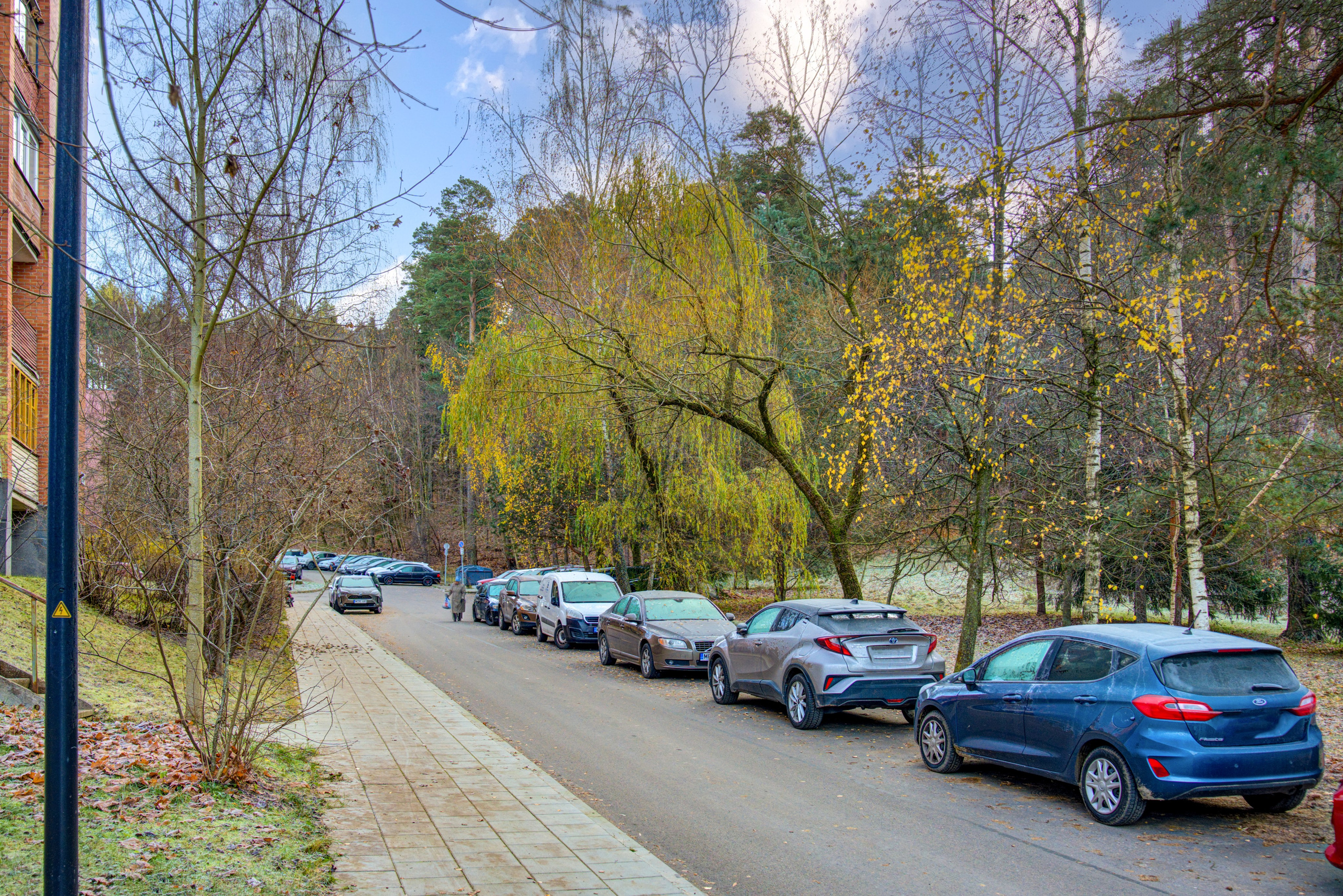 Dronas Antakalnis, Kanklių 10. Elina Sapiega fotografė Vilniuje
