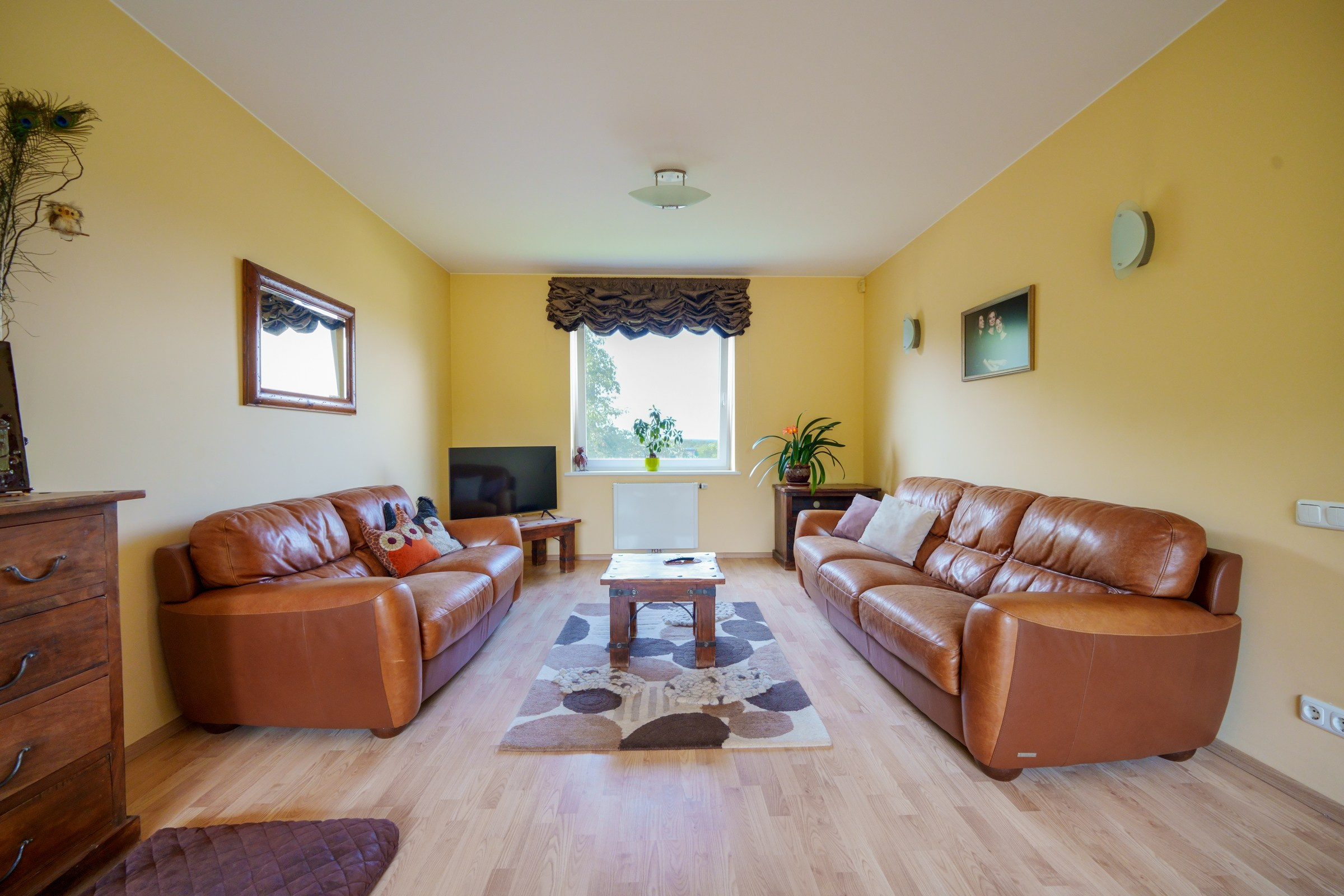 Viršupio sodų 1-oji. Elina Sapiega fotografė Vilniuje