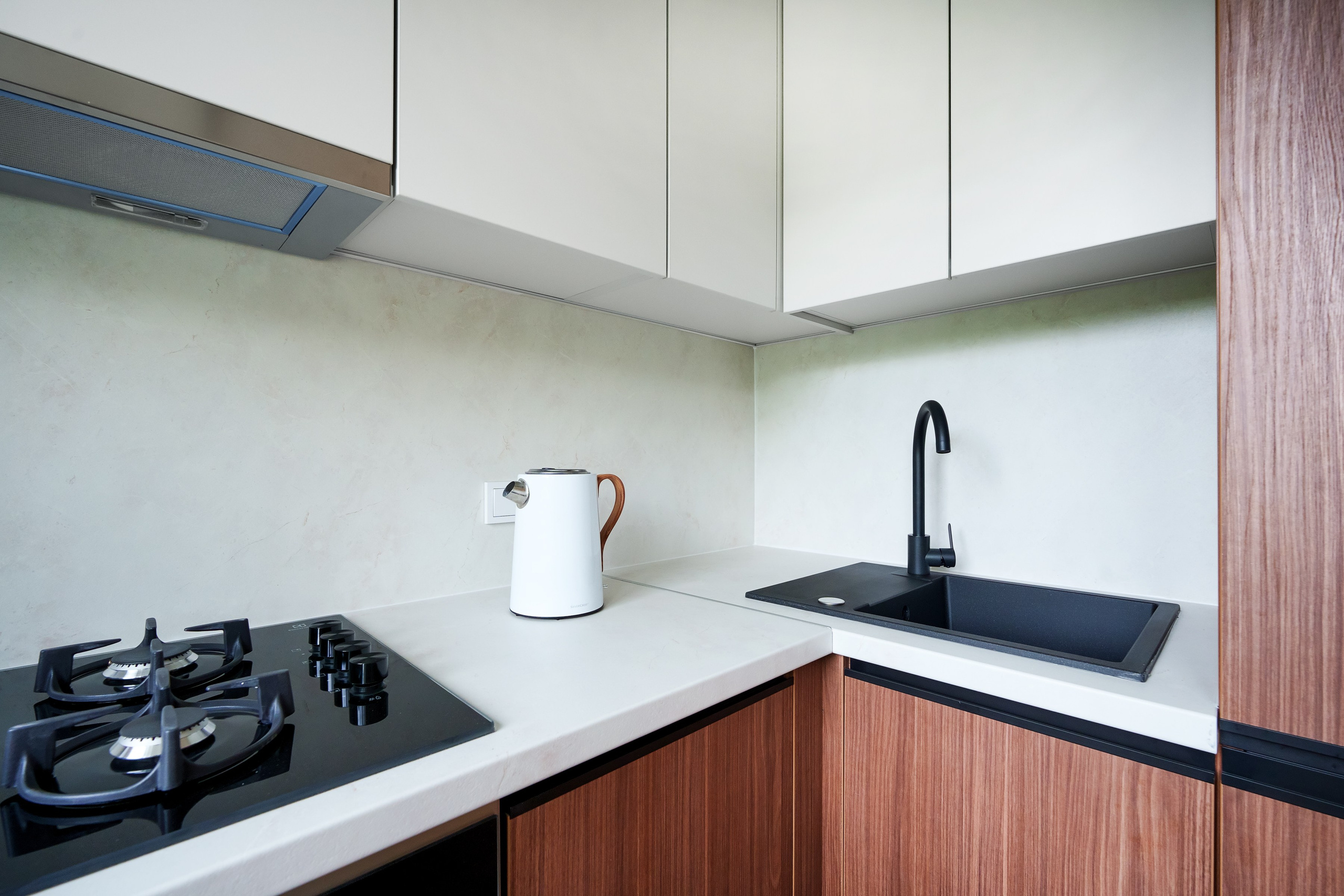 Žirmunų g. 98. Elina Sapiega fotografė Vilniuje