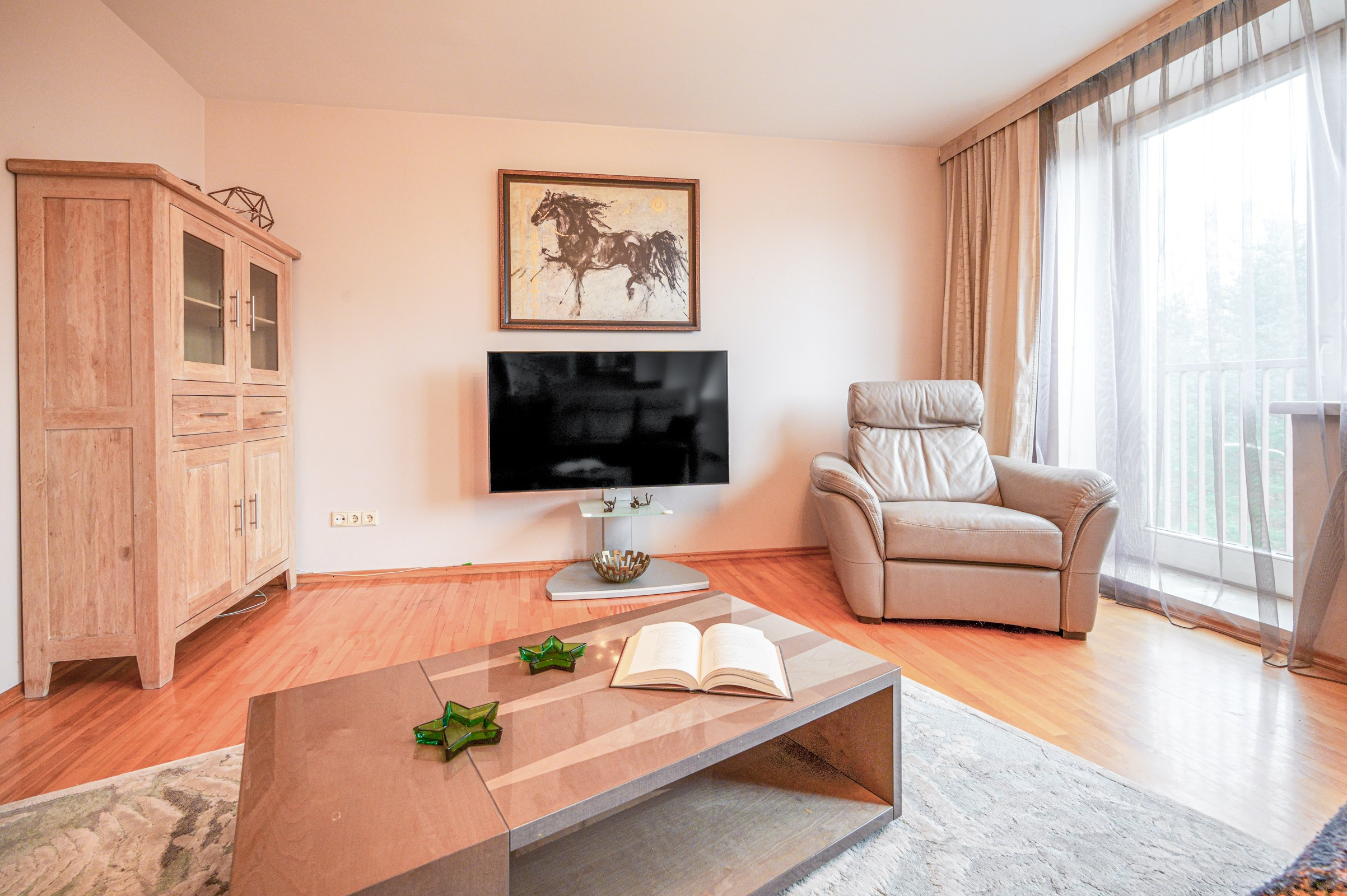 2--jų kambarių butas L. Gyros 80, Vilnius. Elina Sapiega fotografė Vilniuje