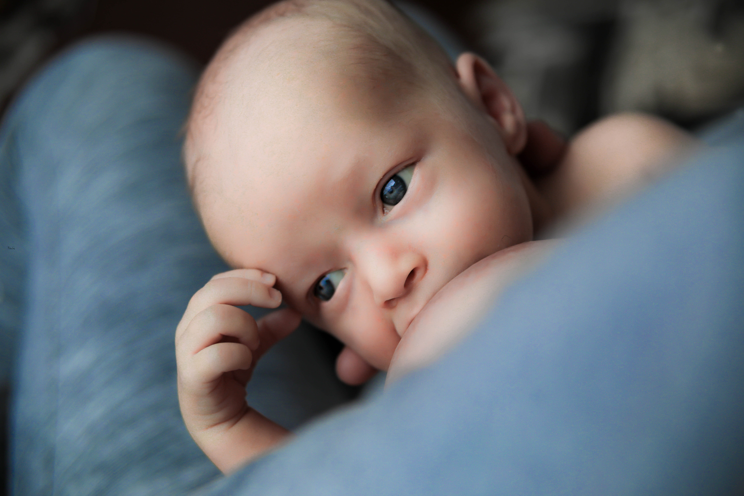 Newborn / Nikolay. Main